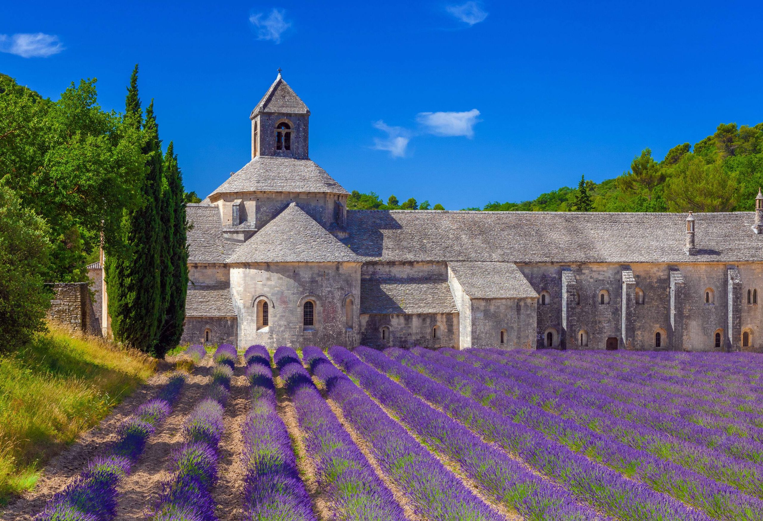 Field of lavender by the side of a long, historic abbey made of stone and surrounded by woods.