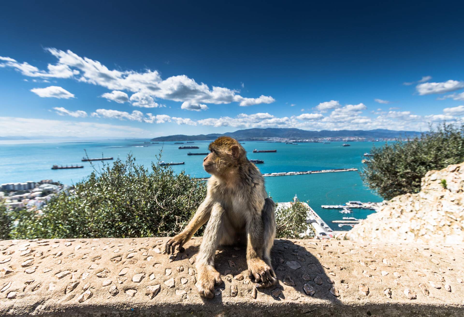 DEST_GIBRALTAR_GIBRALTAR-shutterstock-premier_1050702902