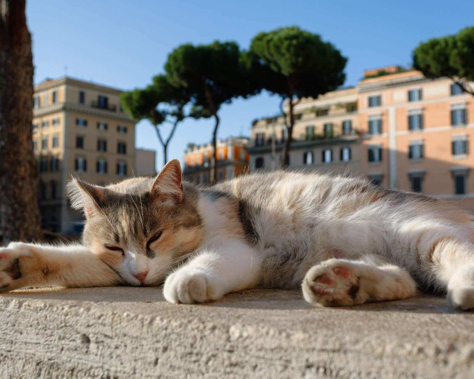 Visiter l’Italie en voiture : découvrez nos 8 circuits | KAYAK