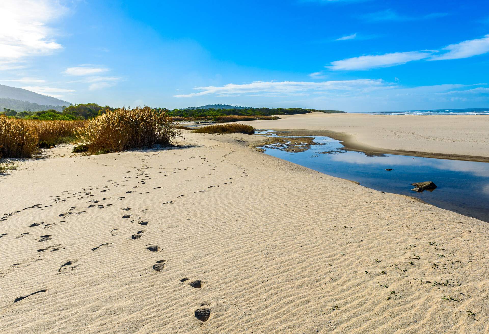 DEST_PORTUGAL_AFIFE_BEACH_GettyImages-1097833554