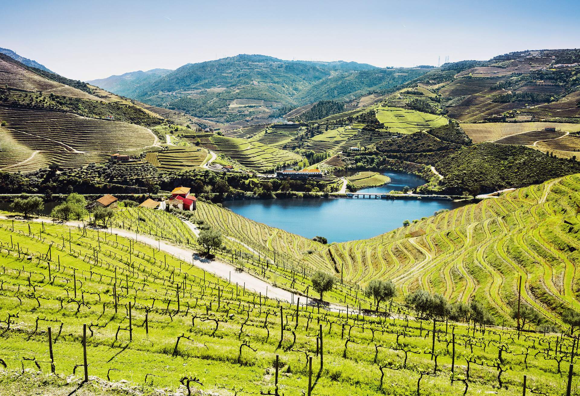 Douro Valley. Vineyards and landscape near Pinhao town, Portugal; Shutterstock ID 1011638089; Purpose: destiny; Brand (KAYAK, Momondo, Any): any