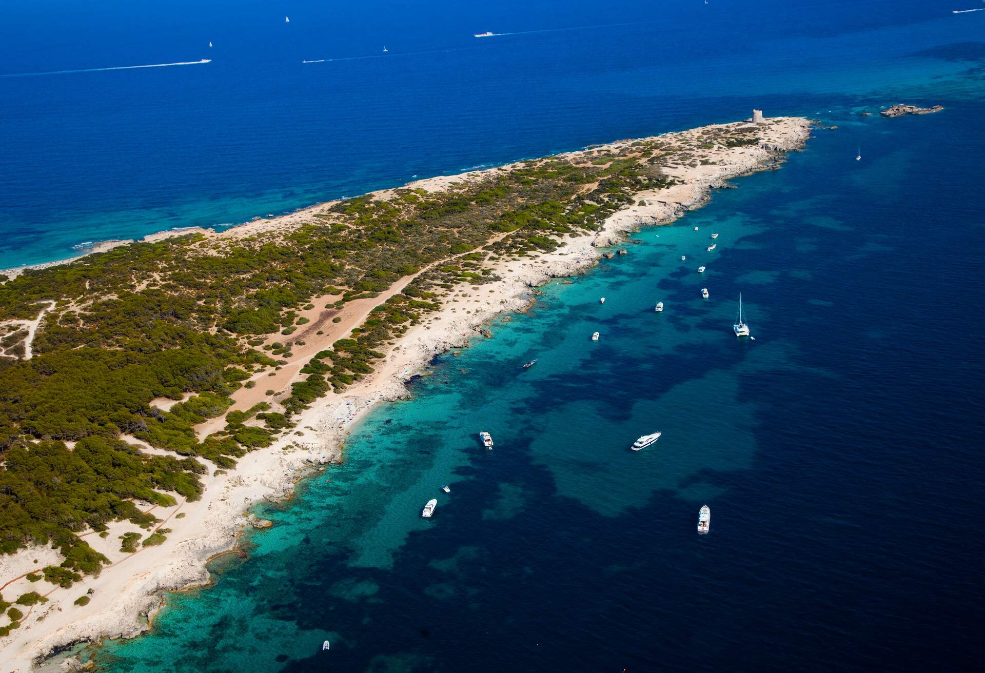 DEST_SPAIN_IBIZA_Platja de Ses Salines_GettyImages-137735525