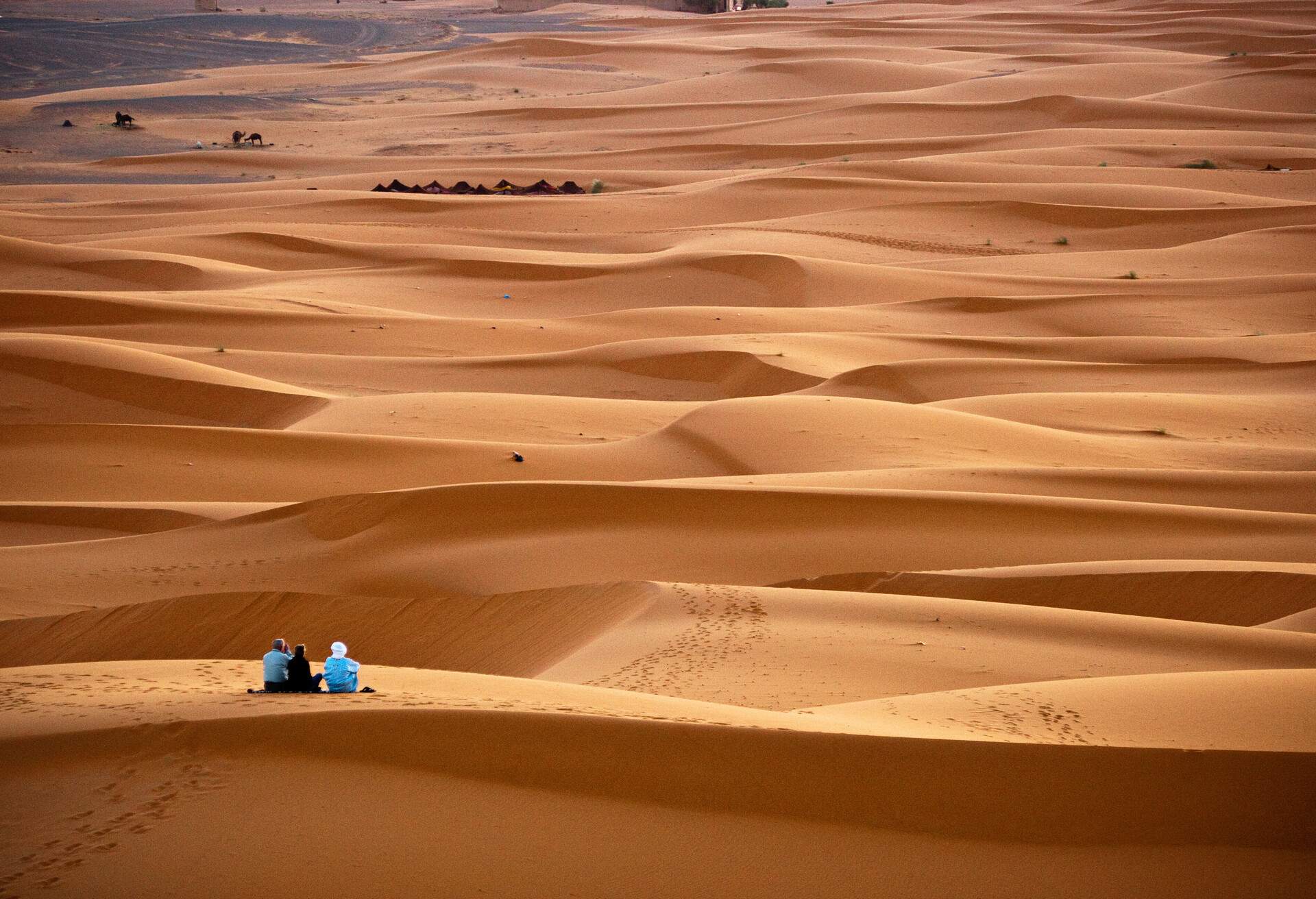 Landscapes and snapshots from a trip in South Morocco, starting from Marrachech going through Algerian borders and Atlas Mountains.