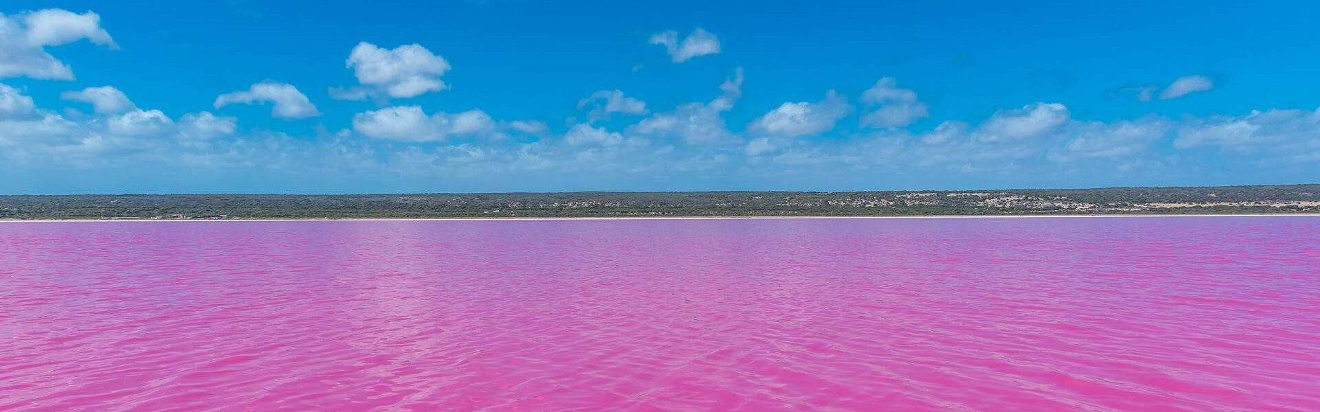 AUSTRALIA_HUTT_LAGOON_PINK_LAKE