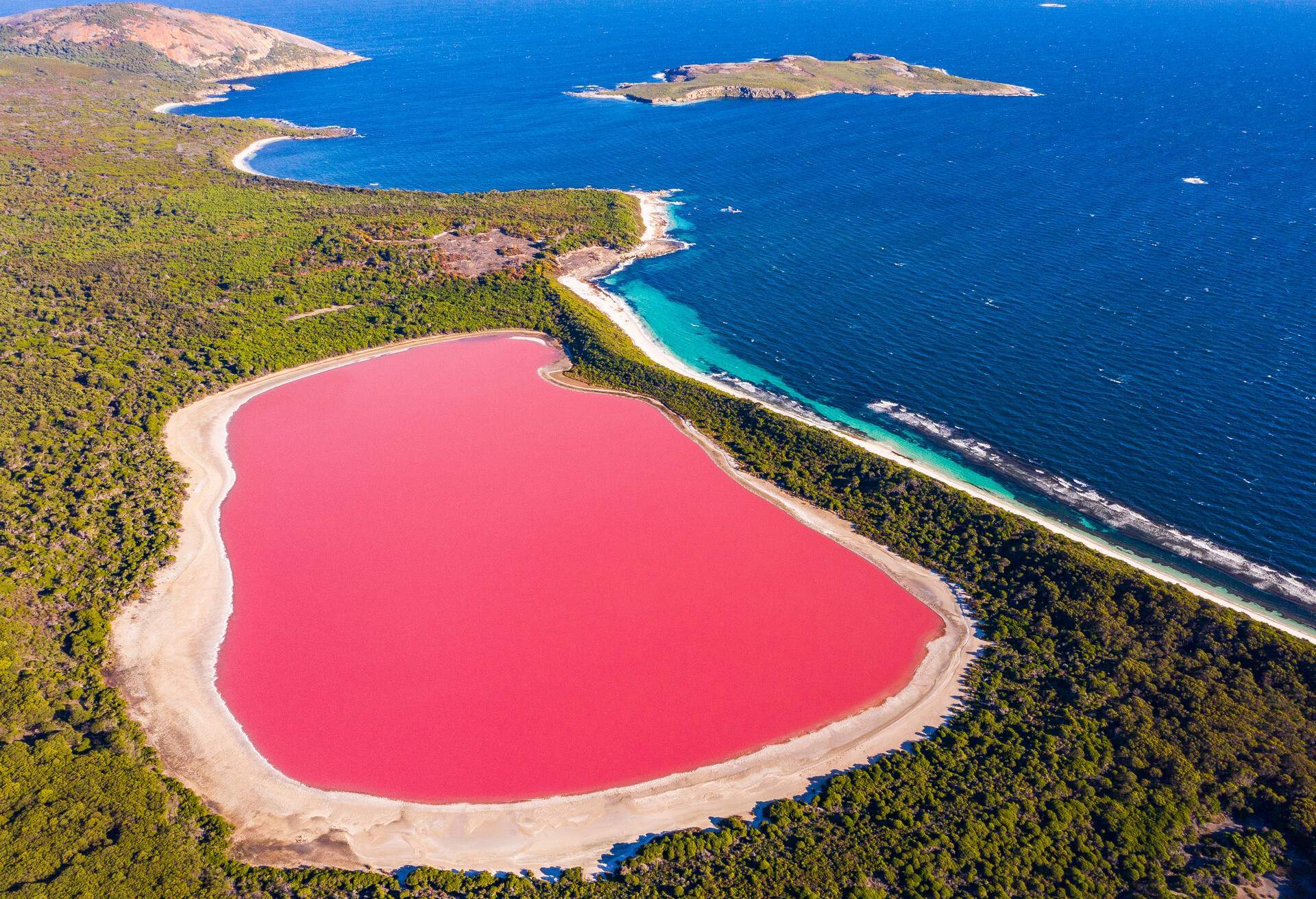 australian pink lake