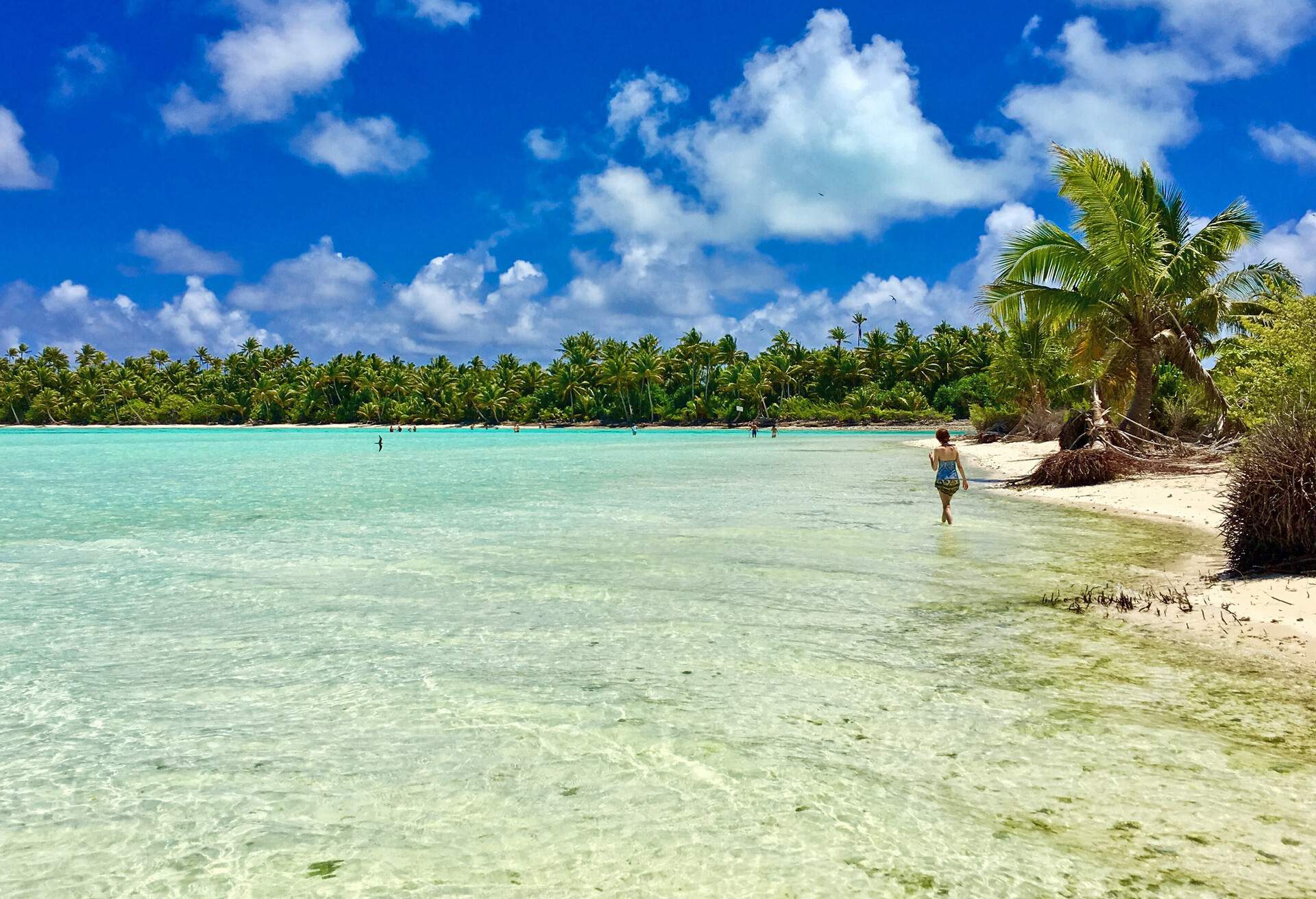 DEST_FRENCH-POLYNESIA_TAHITI_TETIAROA_THEME_BEACH_SHUTTERSTOCK-PREMIER_shutterstock_636622957