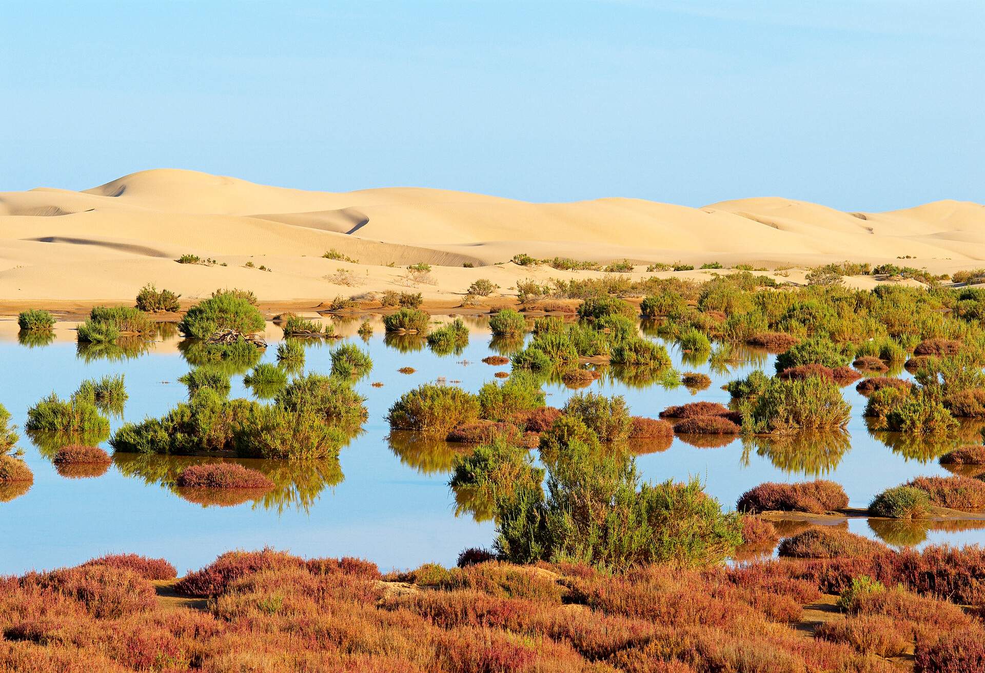 Maroc. Grand Sud. Lagune de Khnifiss. Cote Atlantique. Ancien Sahara espagnol. // Morocco. South Morocco. Khnifiss laguna. Atlantic coast. Former Spanish Sahara.