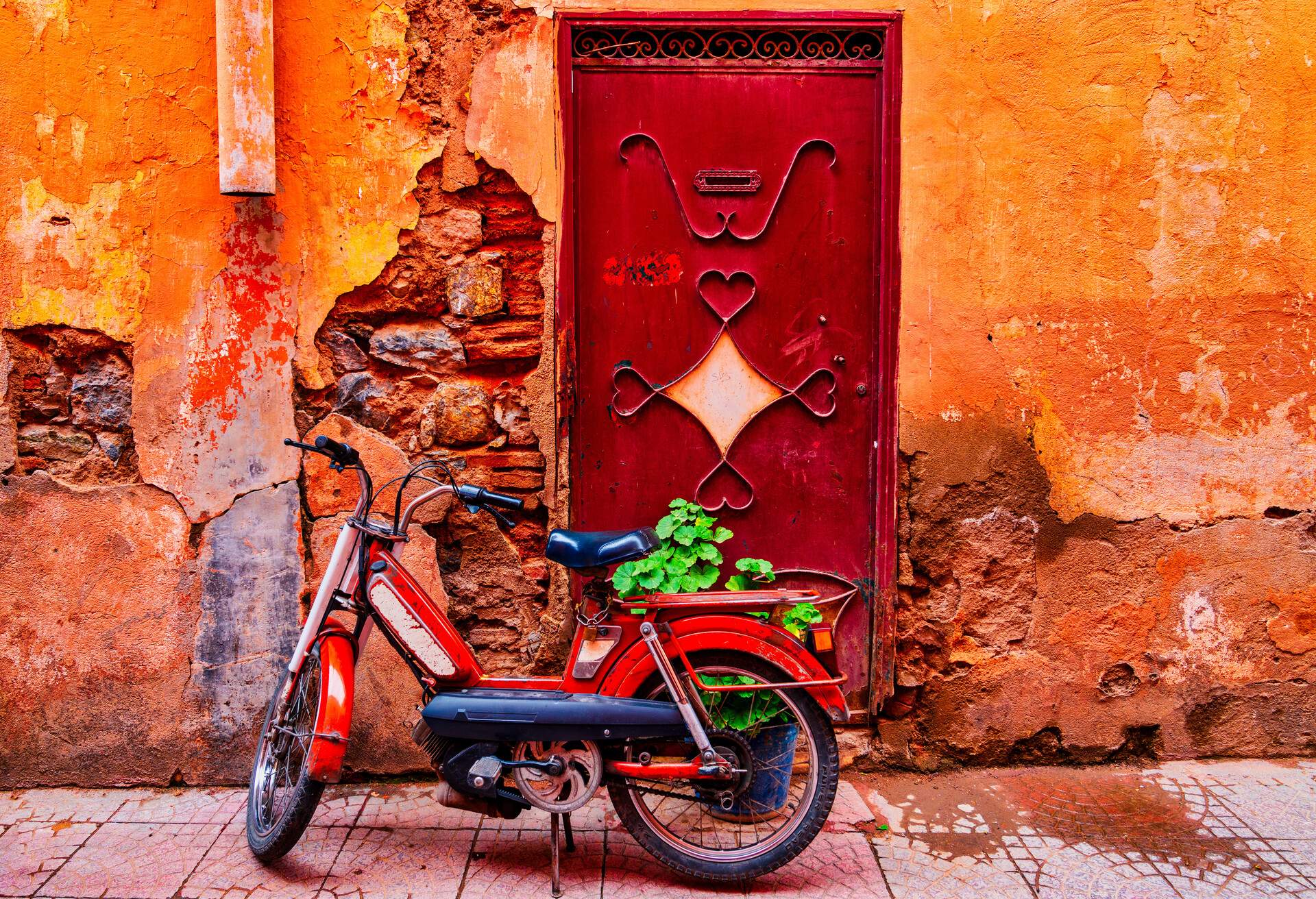 DEST_MAROCCO_MARRAKECH_MEDINA_BIKE_GettyImages-982756138.jpg