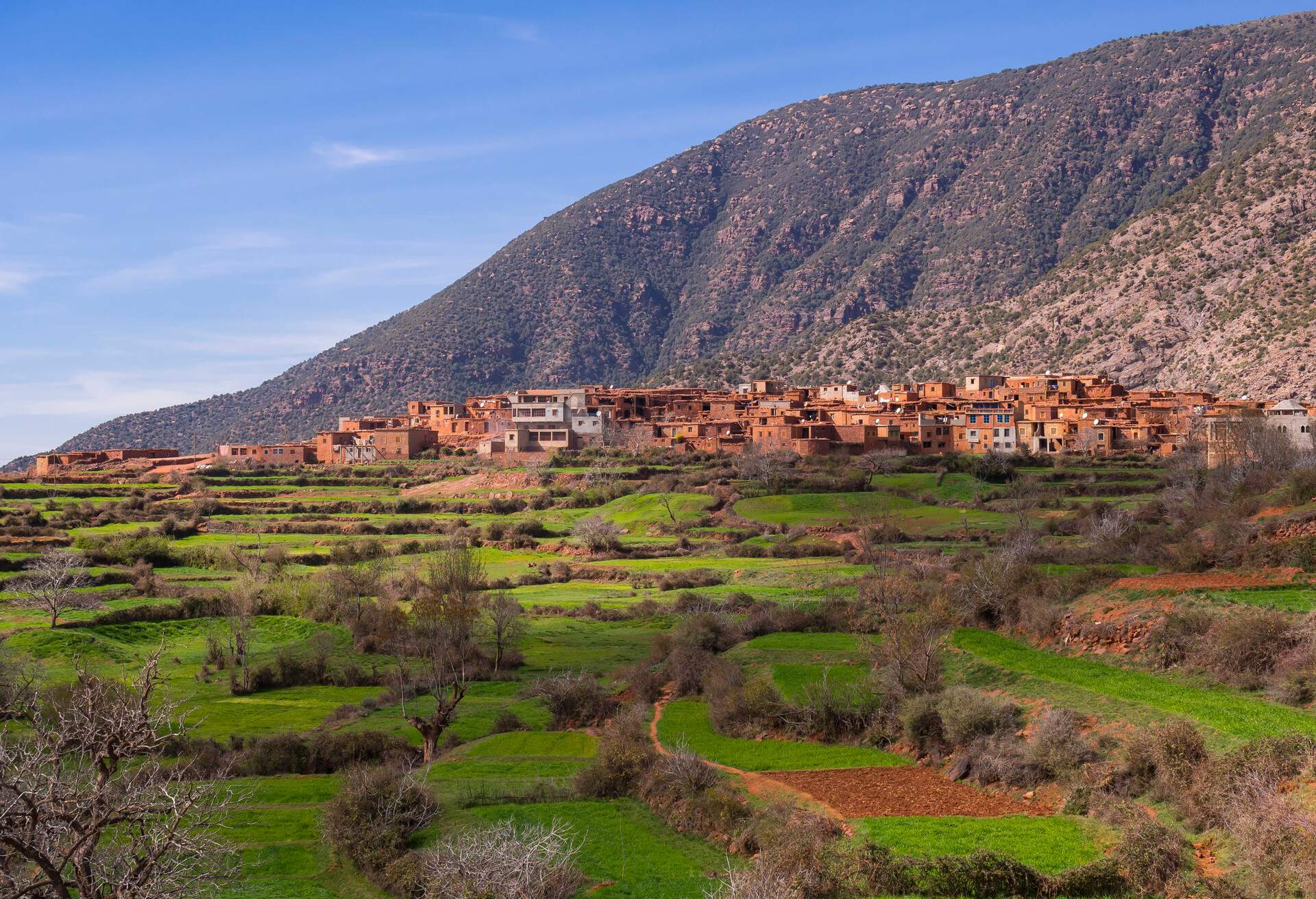 Atlas Mountains, mud-brick village of Anammer at the back, Ourika Valley, Marrakech-Tensift-Al Haouz, Morocco