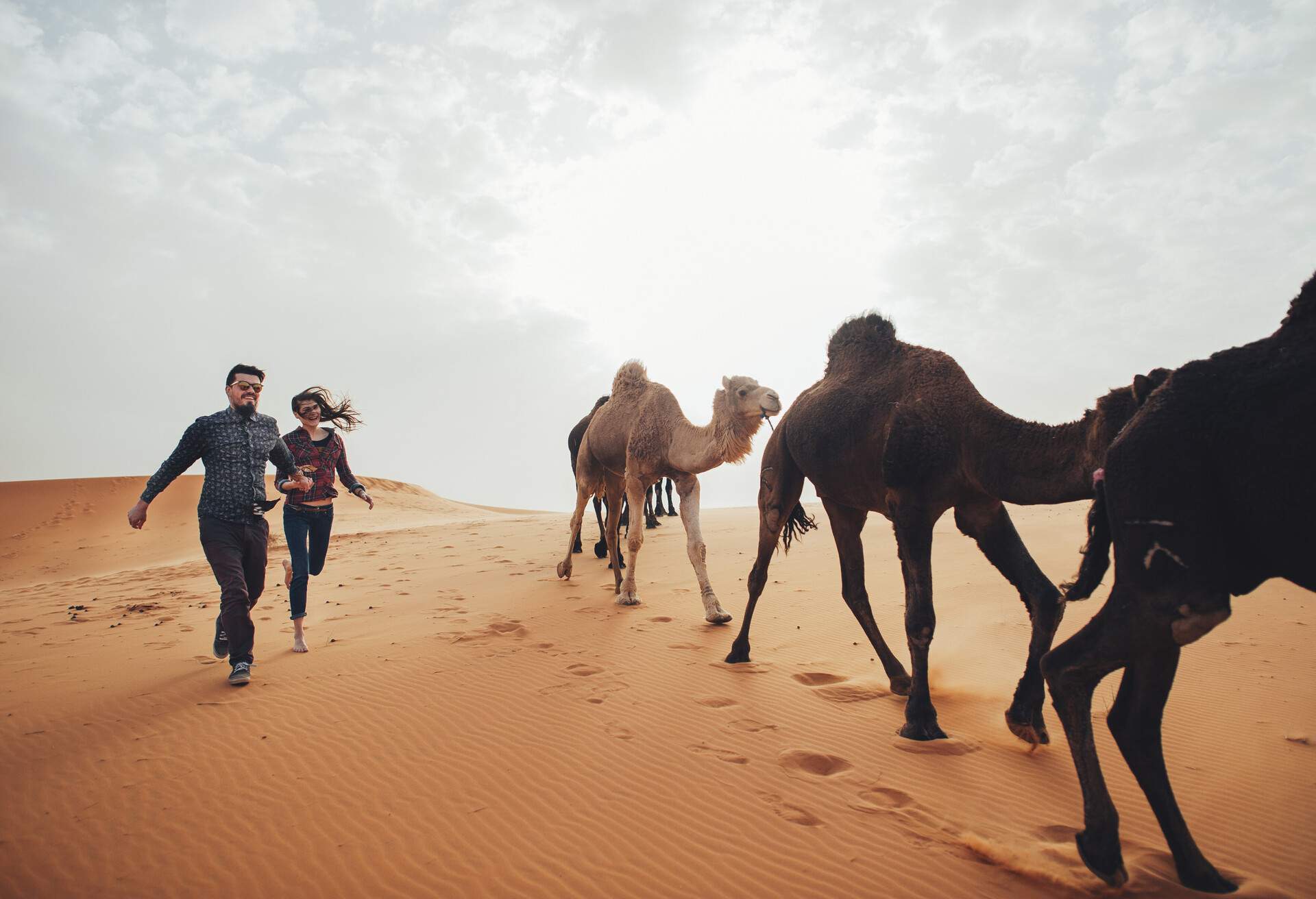 Camel caravan going through the desert in Morocco Africa at sunset; Shutterstock ID 751709398; Purpose: ; Brand (KAYAK, Momondo, Any):