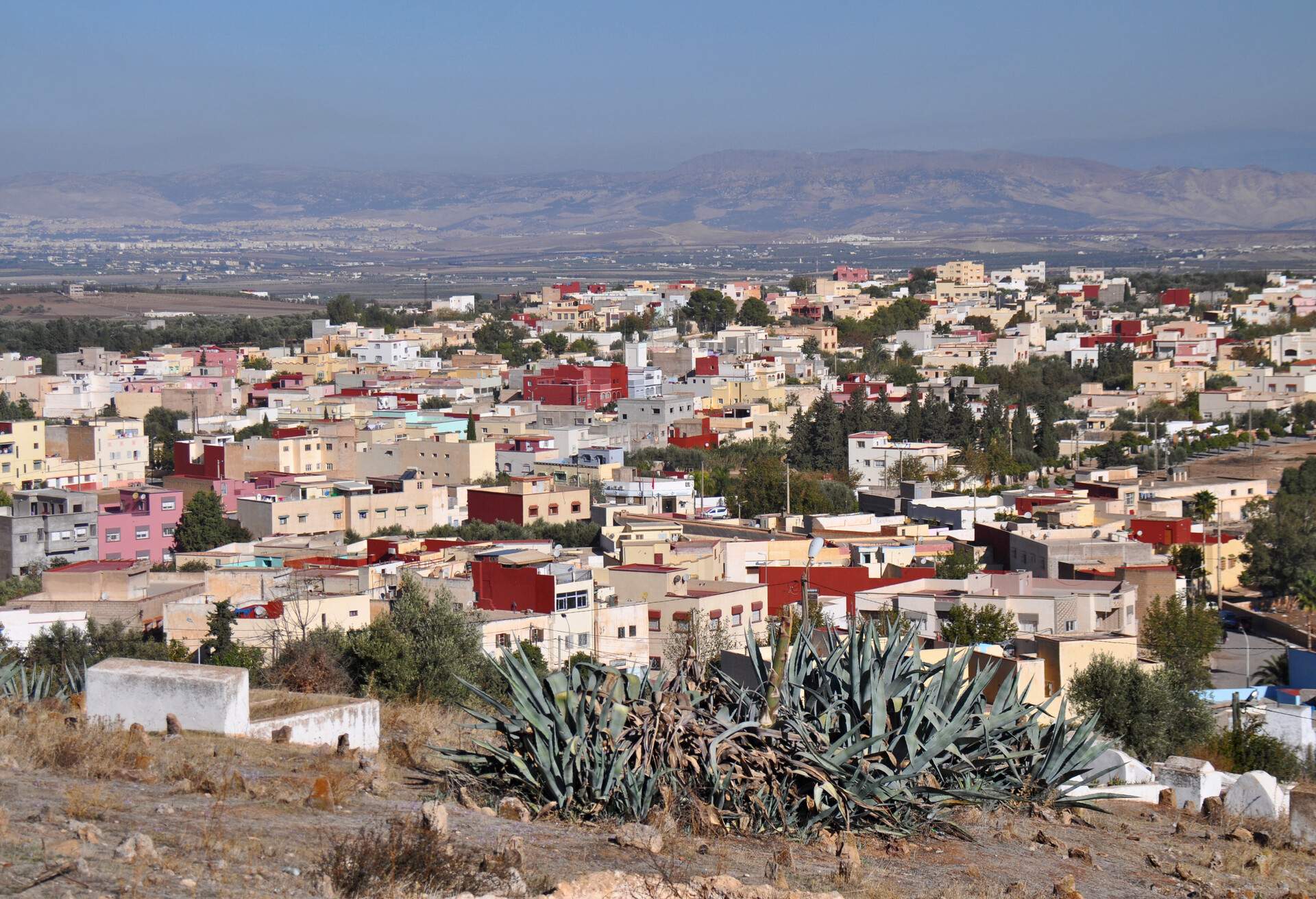 Colored houses in the Moroccan city of Sefrou (Fès-Meknès, Morocco, Maghreb). With prickly pears in the foreground and mountains in the foggy background.