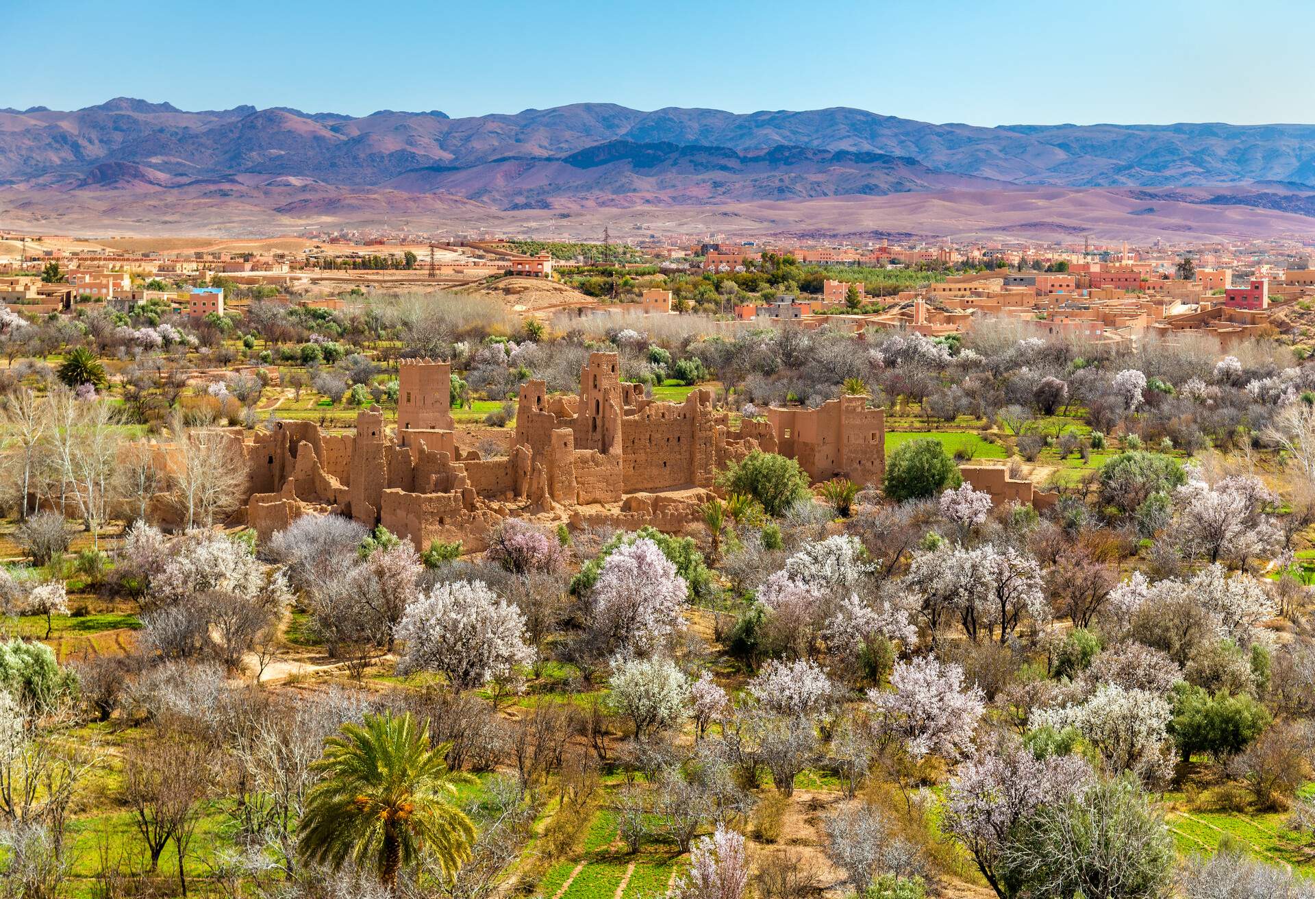 DEST_MOROCCO_VALLEY-OF-ROSES_GettyImages-655185506