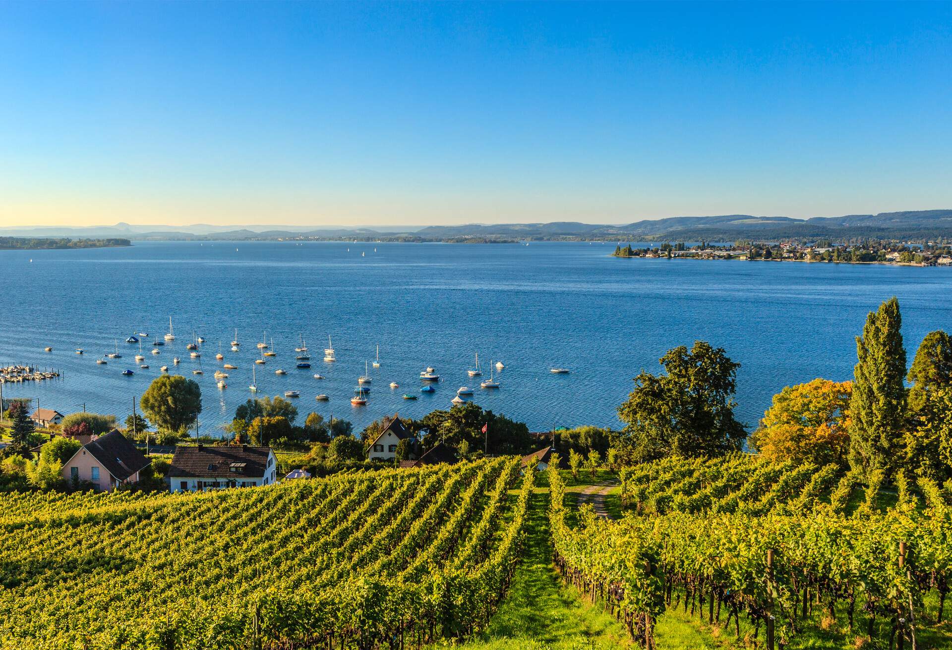 Lake Constance, Bodensee, is a lake situated on the border between Germany, Switzerland and Austria, at the northern foot of the Alps.