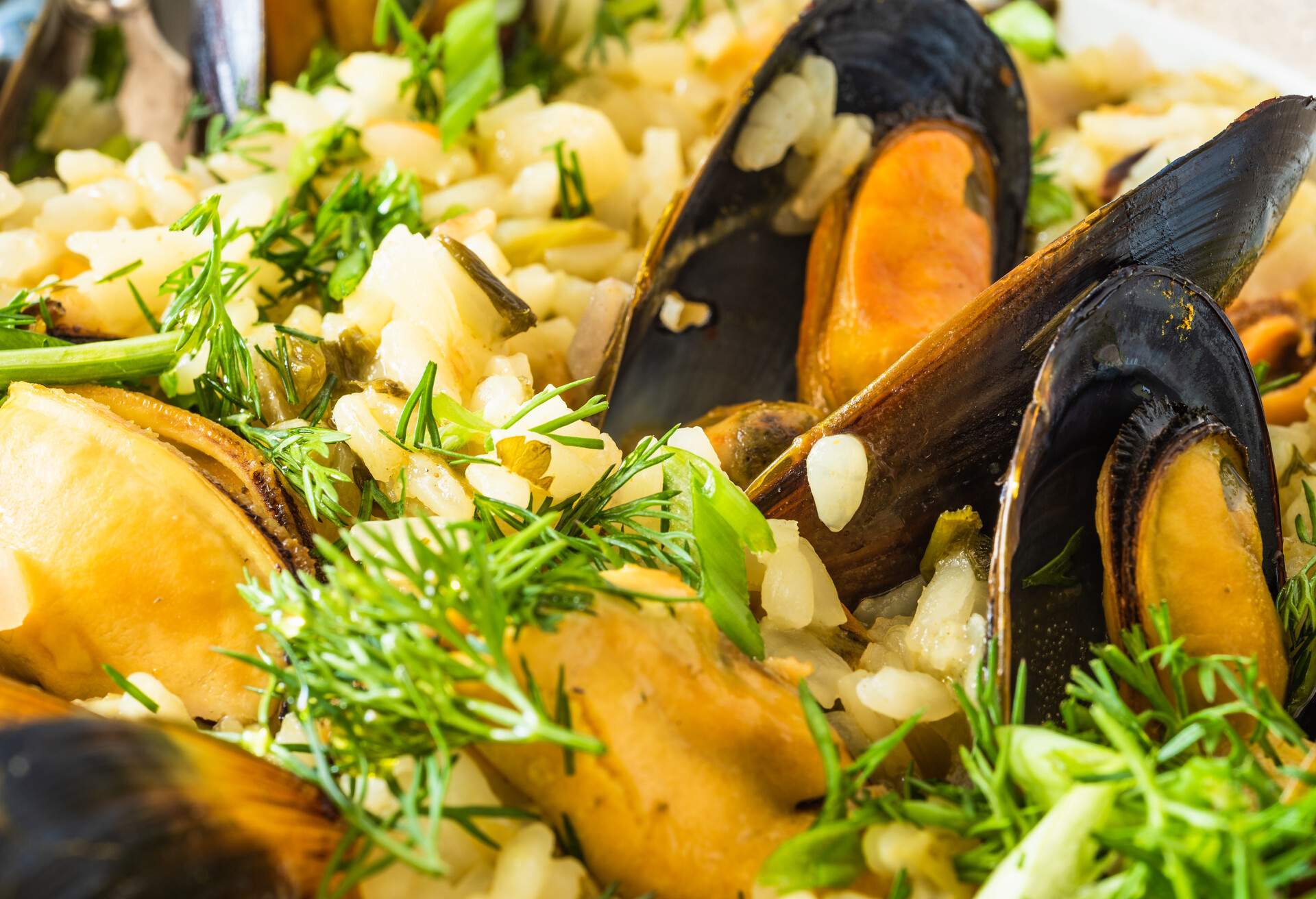 Lemon rice with mussels, midopilafo close up, macro - greek dish