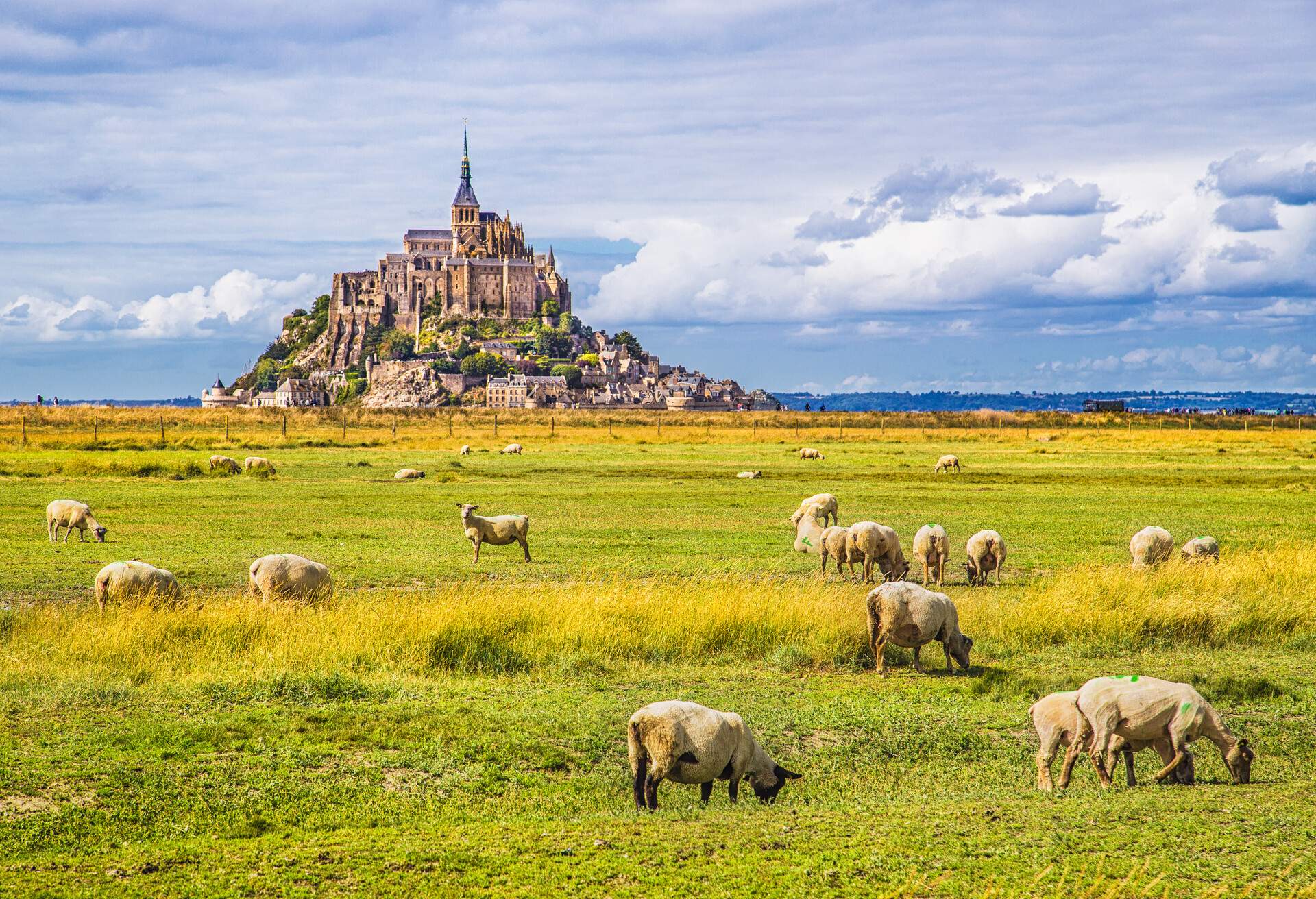 DEST_FRANCE_NORMANDY_LE MONTE SAINT MICHEL-shutterstock-premier_367651742