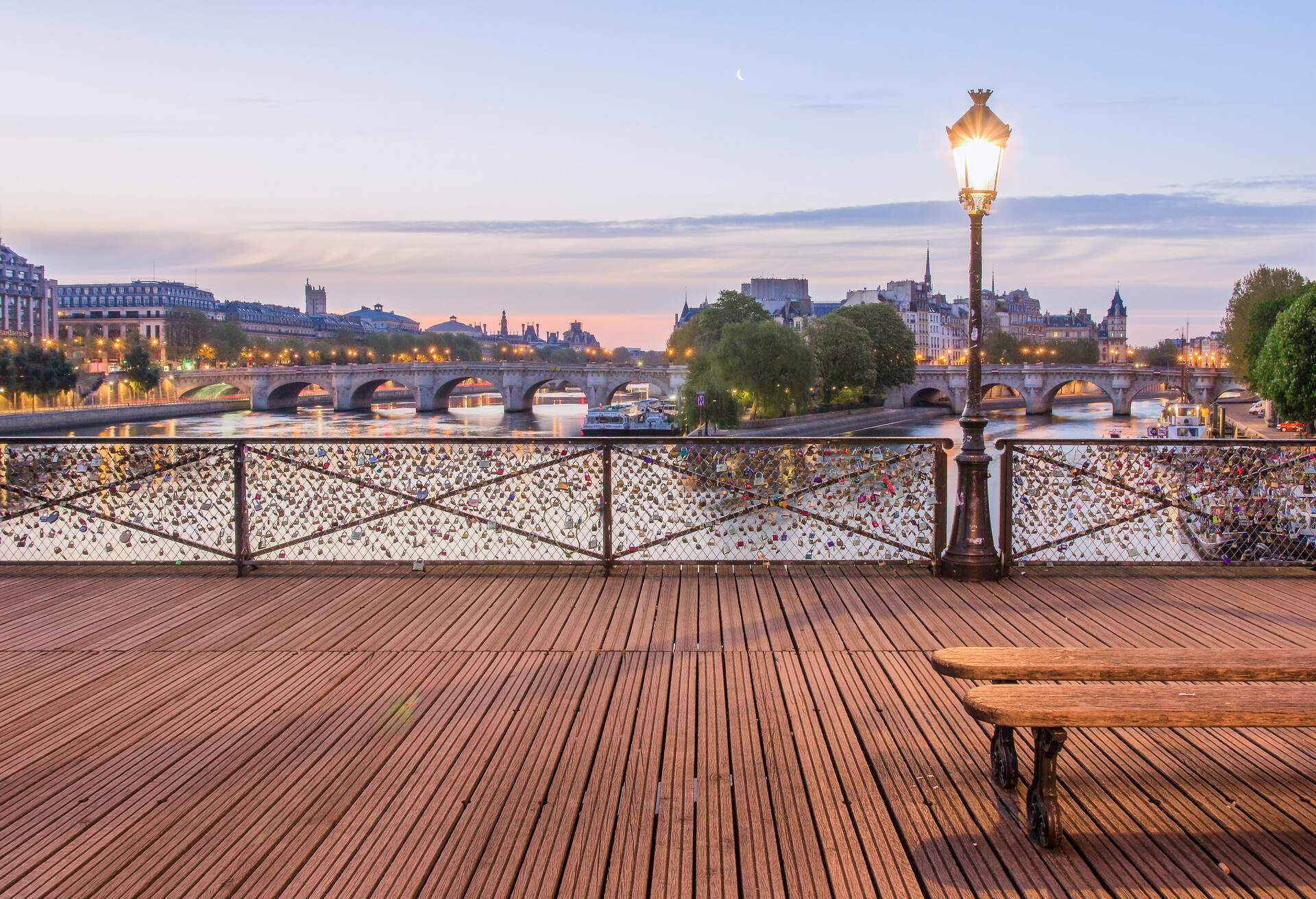 The 'Pont des Arts' with the Ile de la Cité in the Background