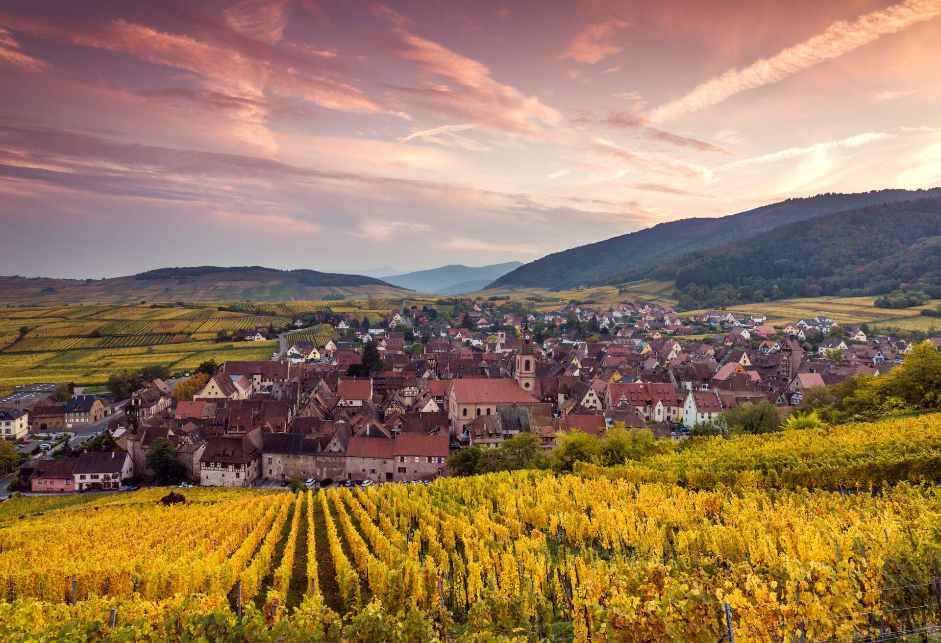 DEST_FRANCE_RIQUEWIHR-GettyImages-545220790