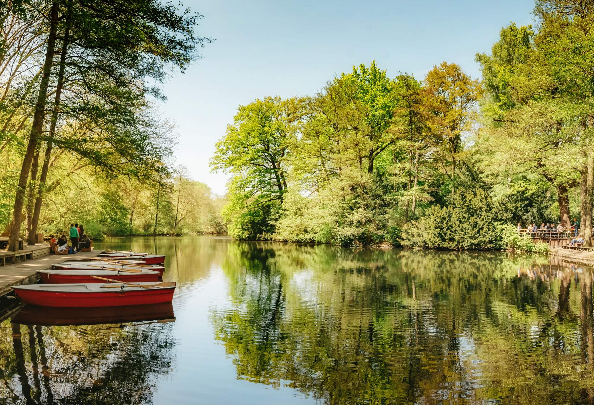 Red row boats moored in the wooden footpath by the lake surrounded by lush green trees.