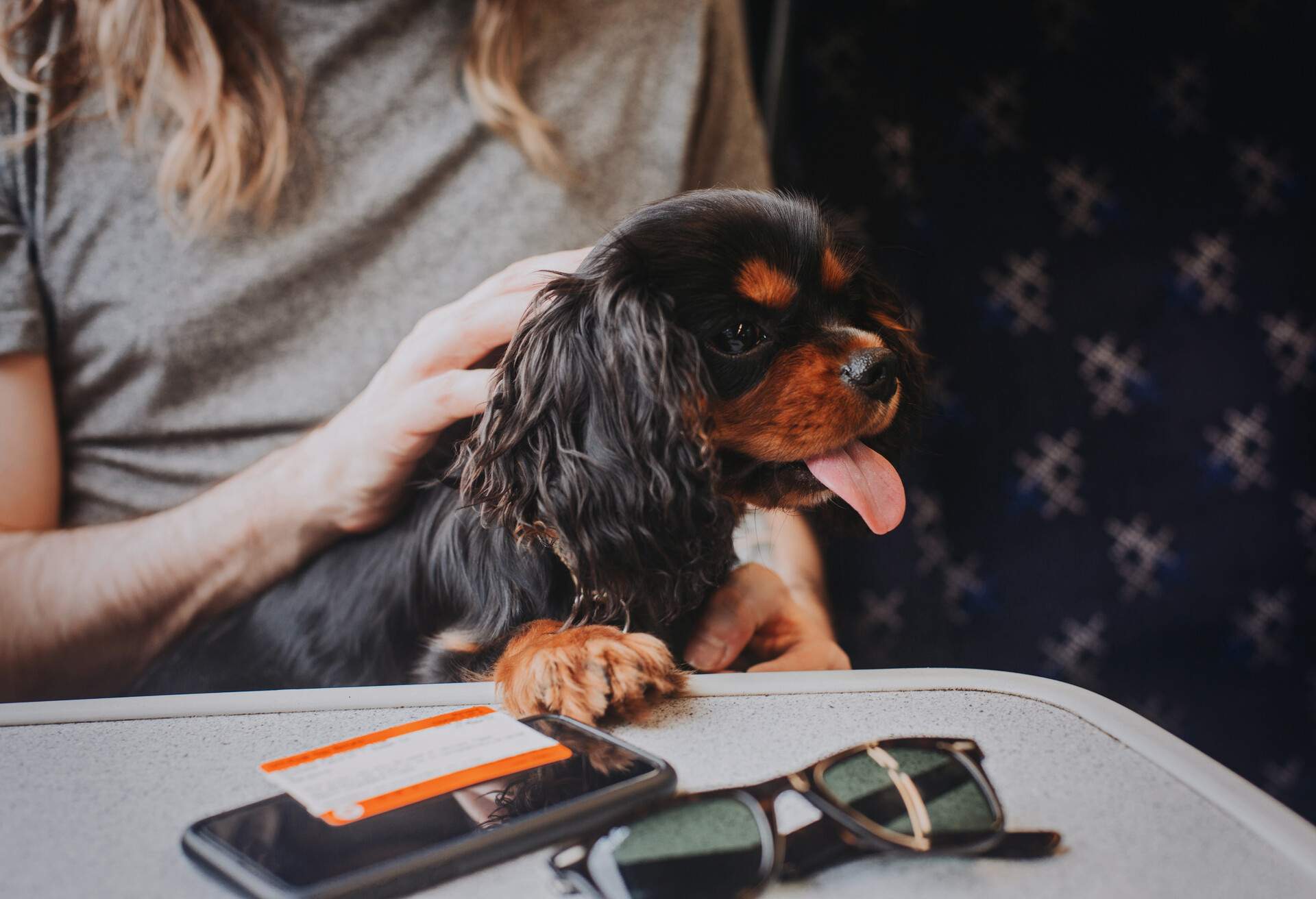 THEME_DOG_TRAVEL_FLIGHT_DEVICE_GettyImages-857079460