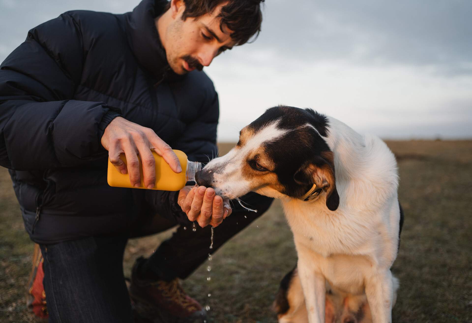 THEME_PETS-TRAVEL_DOG_PEOPLE_MAN_WATER_GettyImages-1212808667