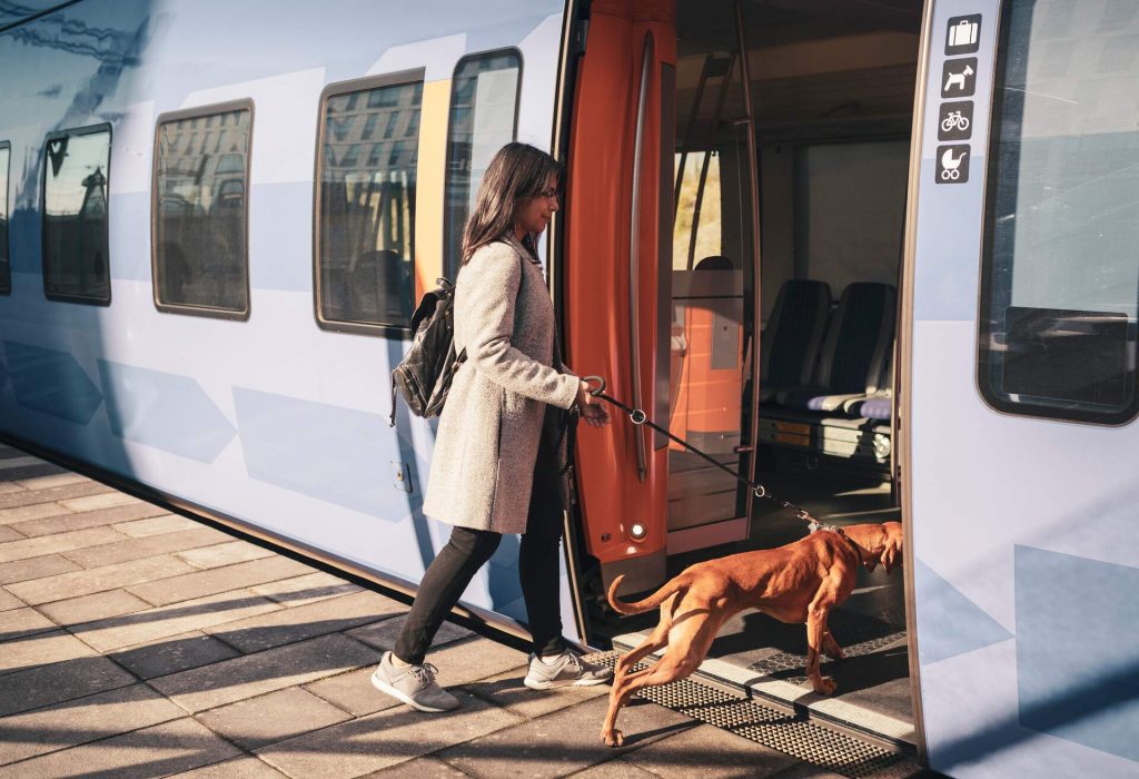 Conseils pour prendre le train avec votre animal KAYAK
