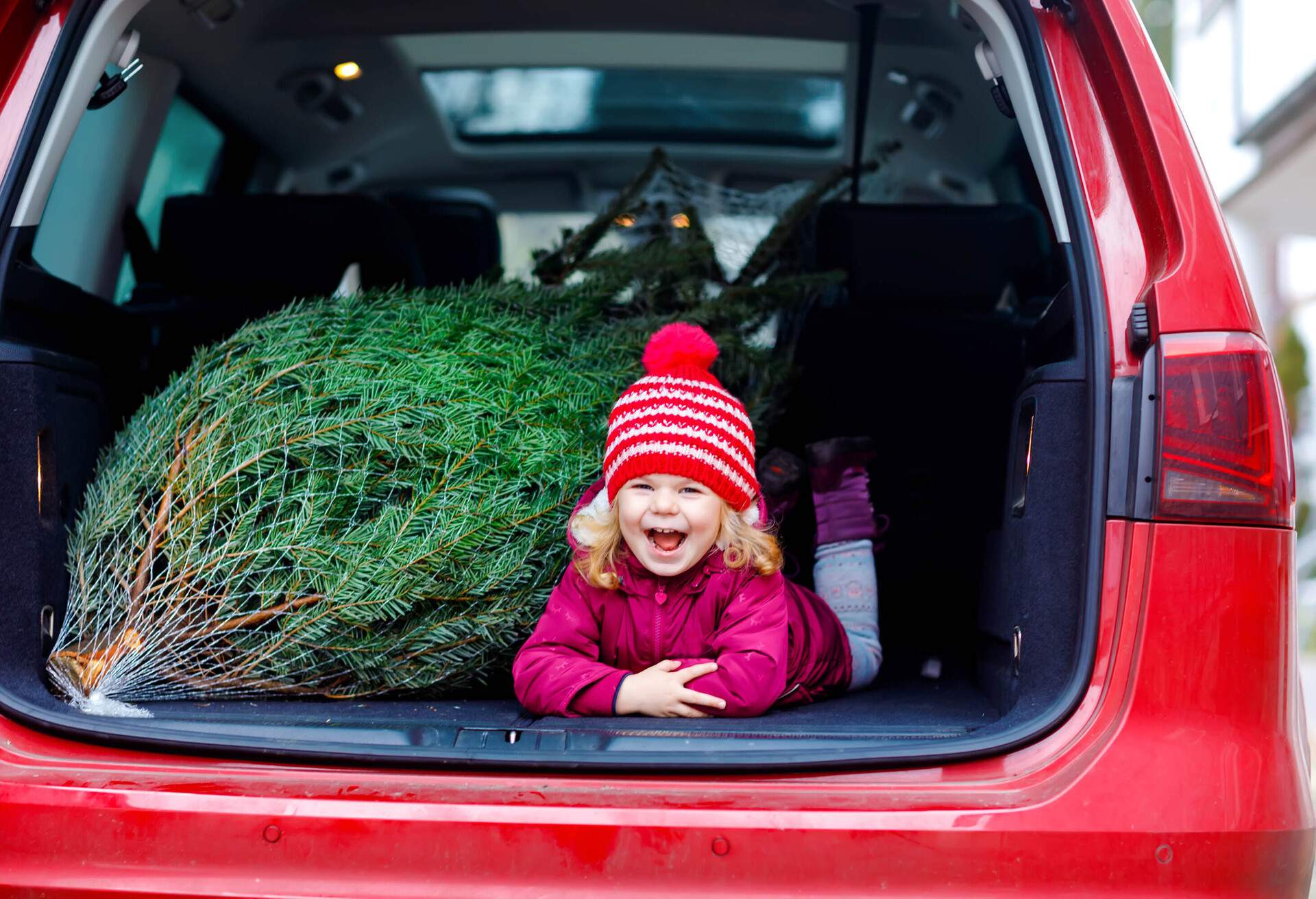 10 destinations où passer Noël en famille en 2022/2023 KAYAK