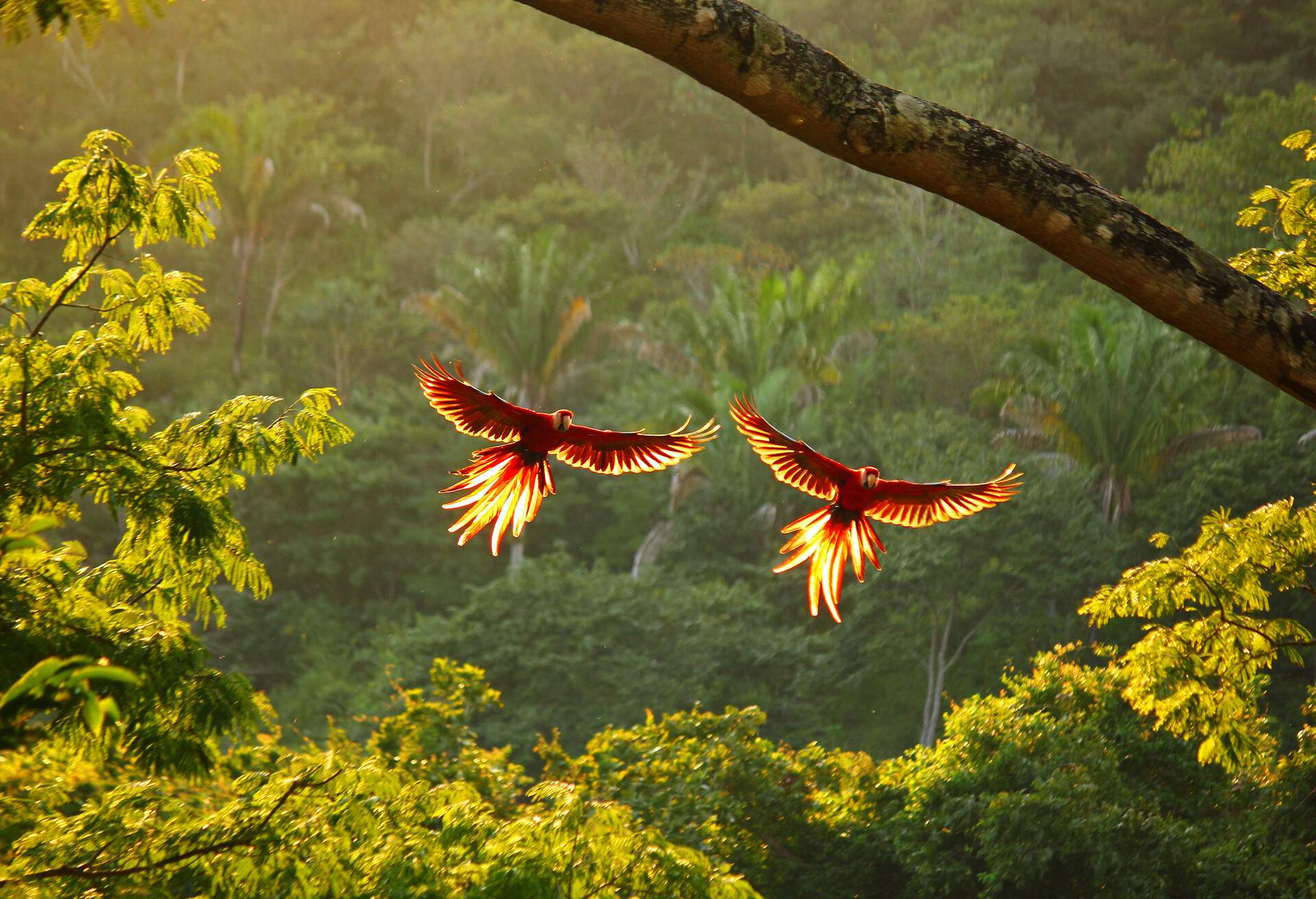 DEST_COSTA-RICA_THEME_NATURE_GettyImages-1357649377