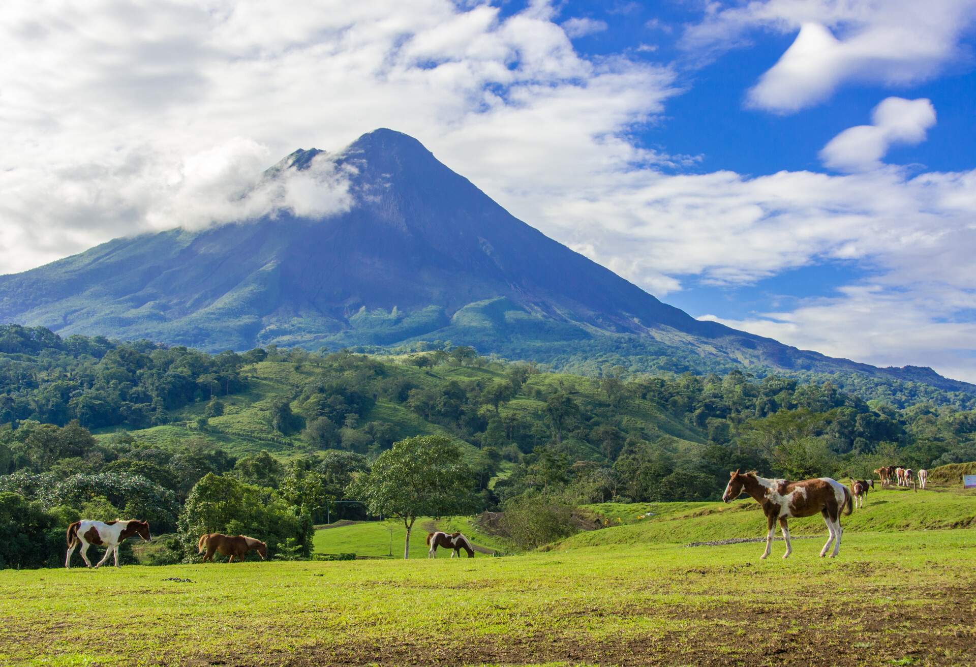 DEST_COSTA-RICA_SAN-JOSE_VOLCANO-ARENAL_shutterstock_317527799