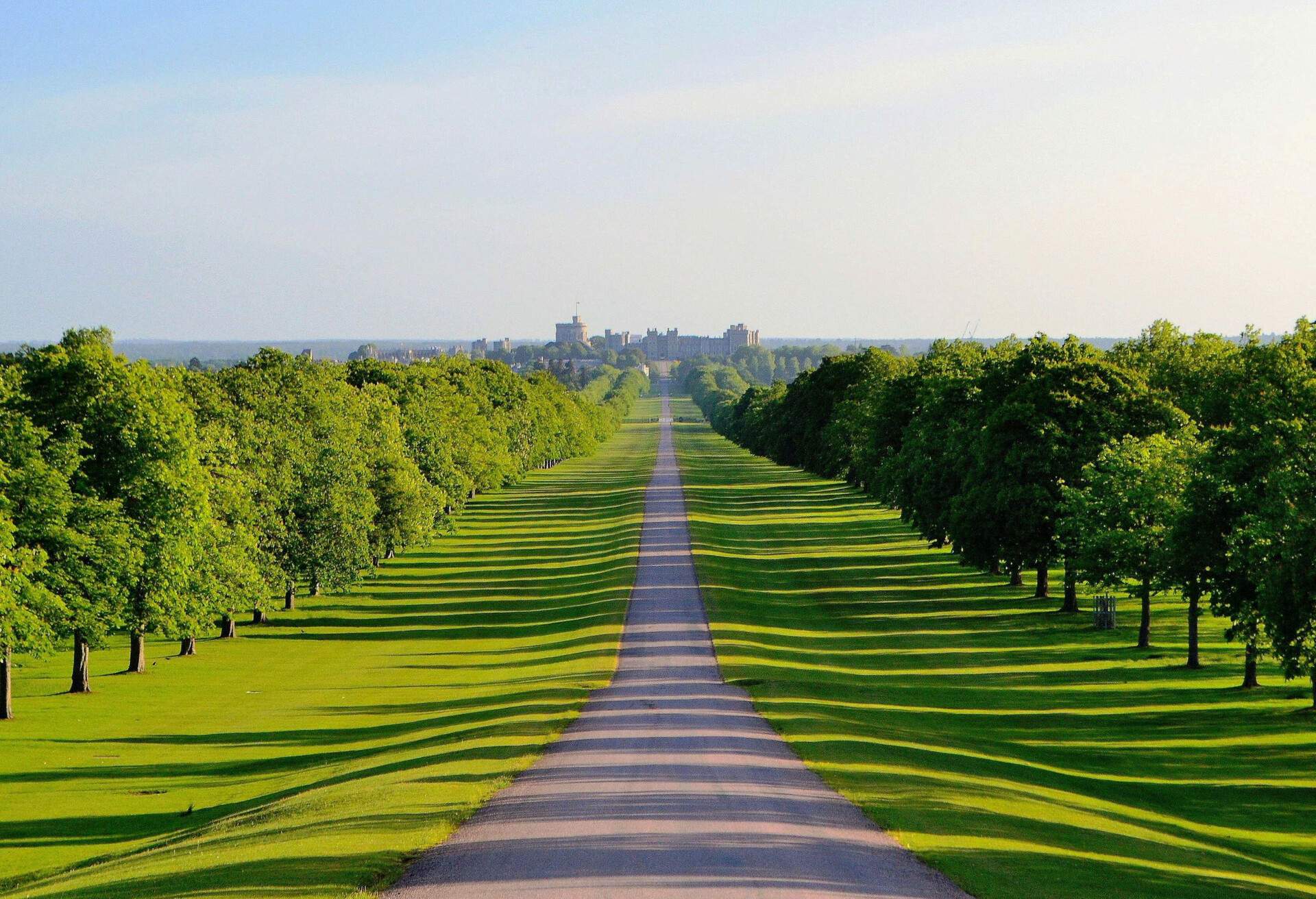 Shadows on trees and path leading up to Windsor Castle.