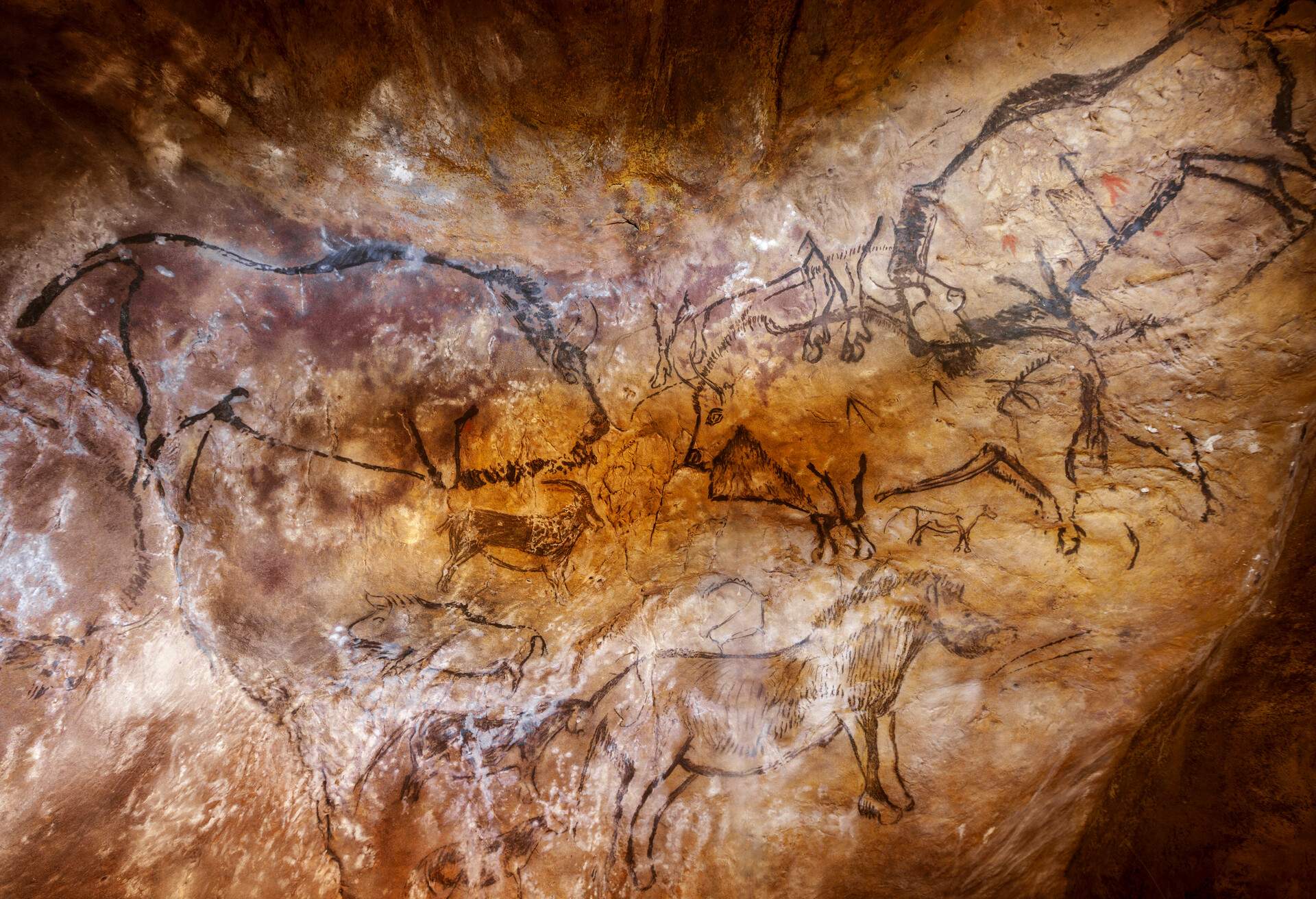 Niaux cave in Ariege .French Pyrenees. Replica in Prehistoric Park of  Teverga. Asturias.