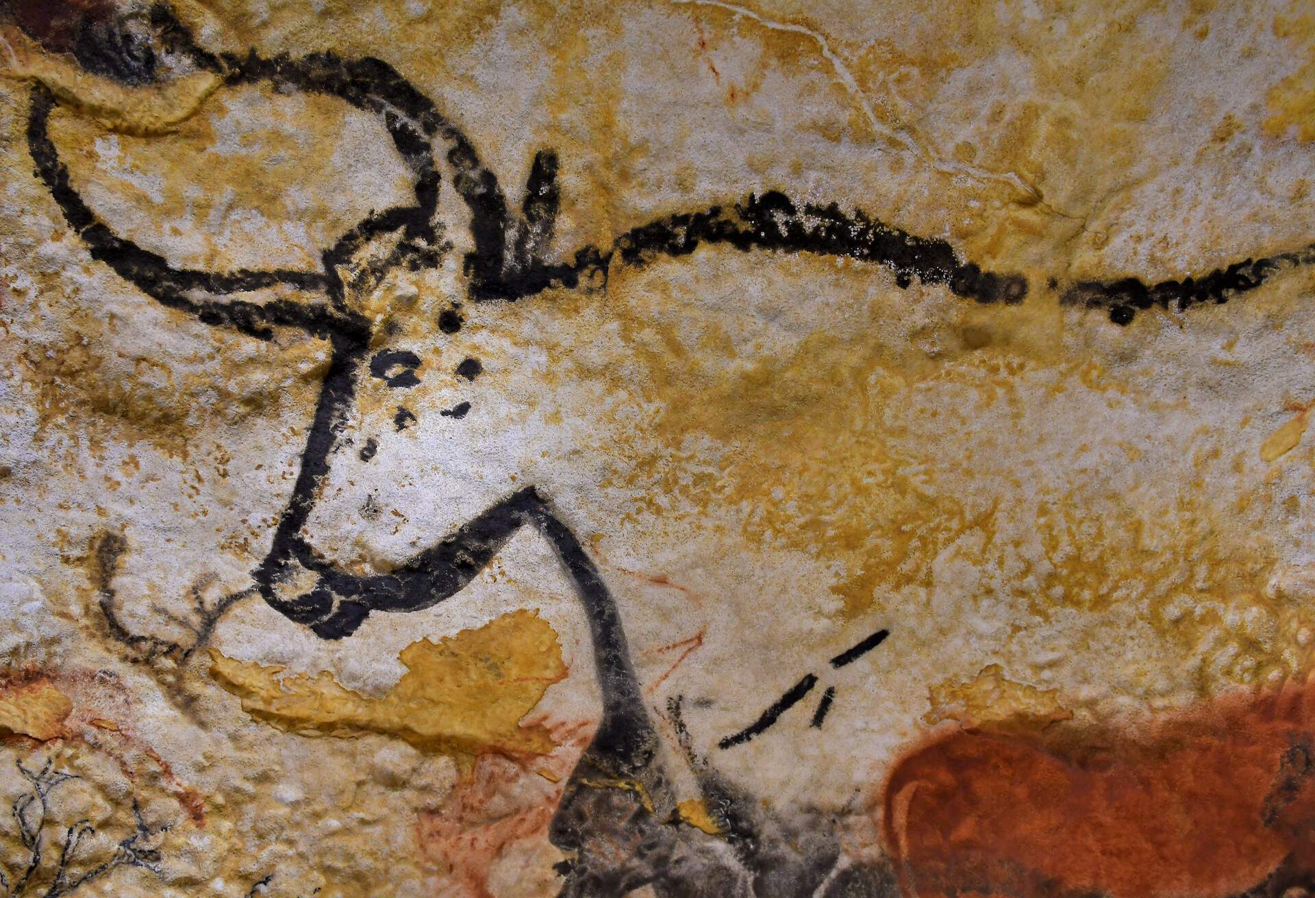 C'est une des plus remarquable peinture de la Groote de Lascaux. L'artiste a réussi a donner du mouvement et a peint des détails qui l'ont marqués.