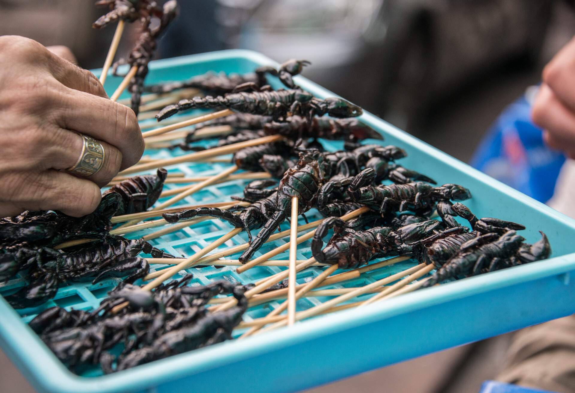 Scorpions on a stick at local market, Khao San Road, Bangkok, Thailand.
