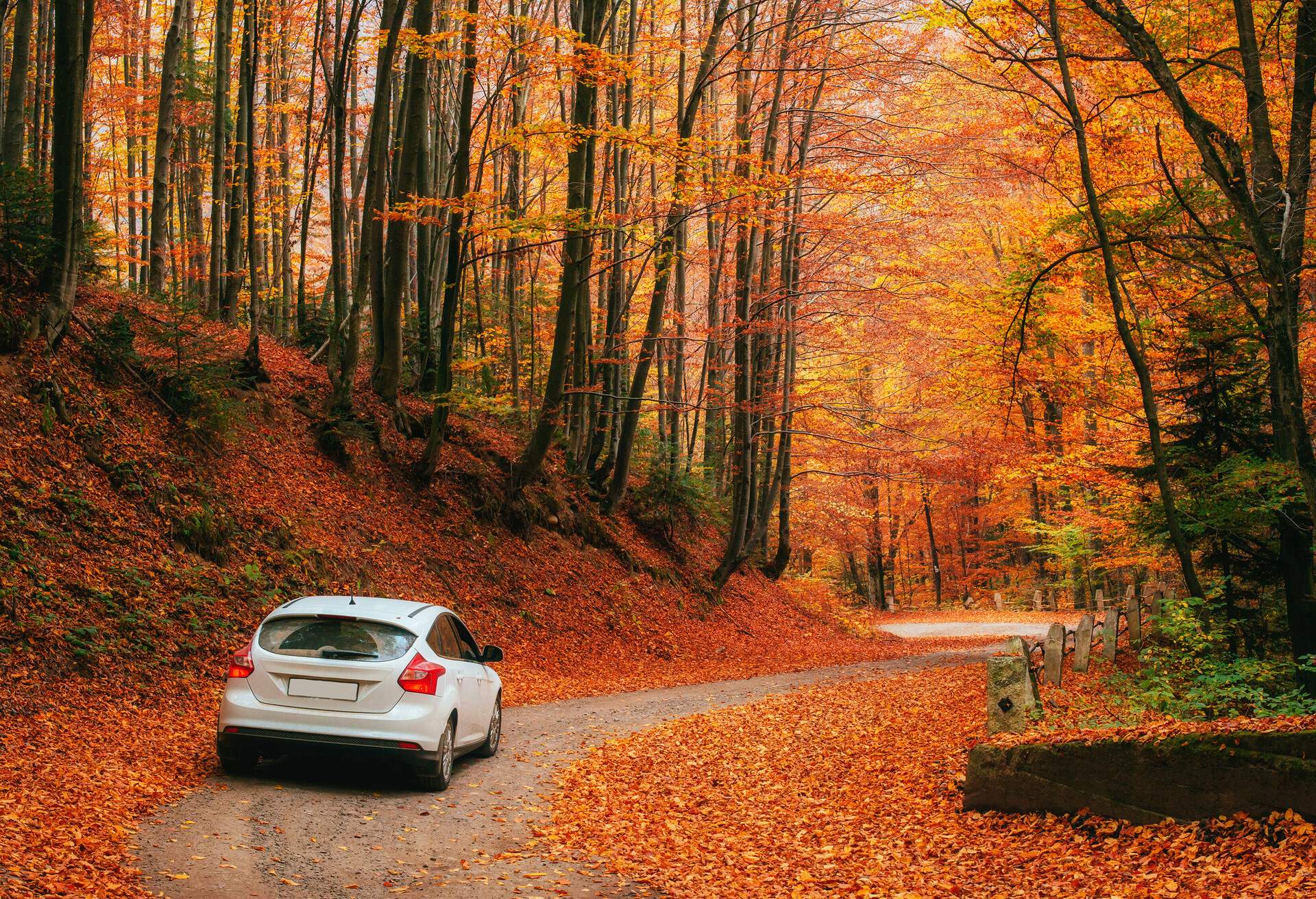 TRAVEL_CAR_SEASONAL_AUTUMN