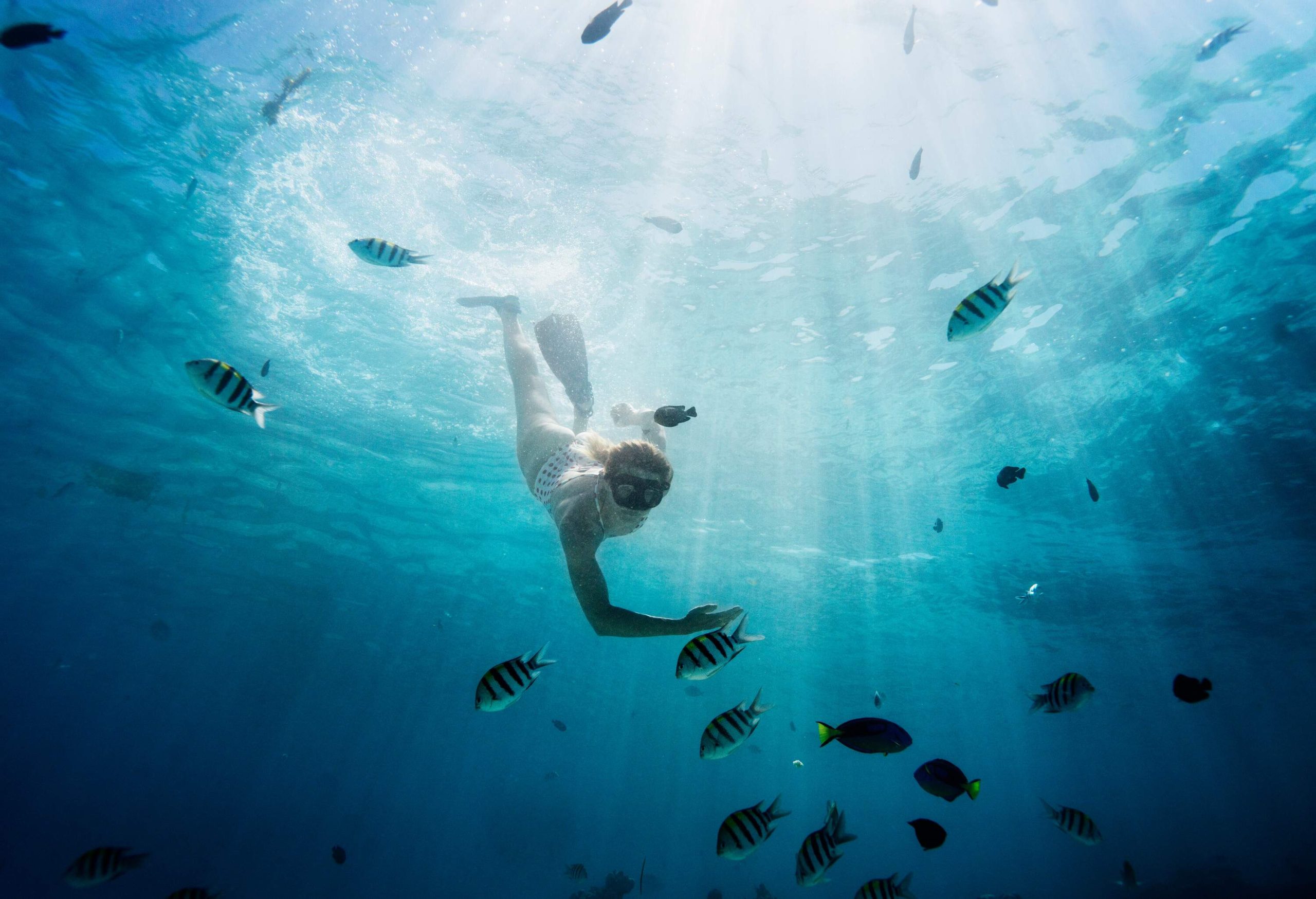 A woman snorkels gracefully in the crystal-clear ocean, surrounded by a vibrant school of small fish, as she explores the mesmerising underwater world.