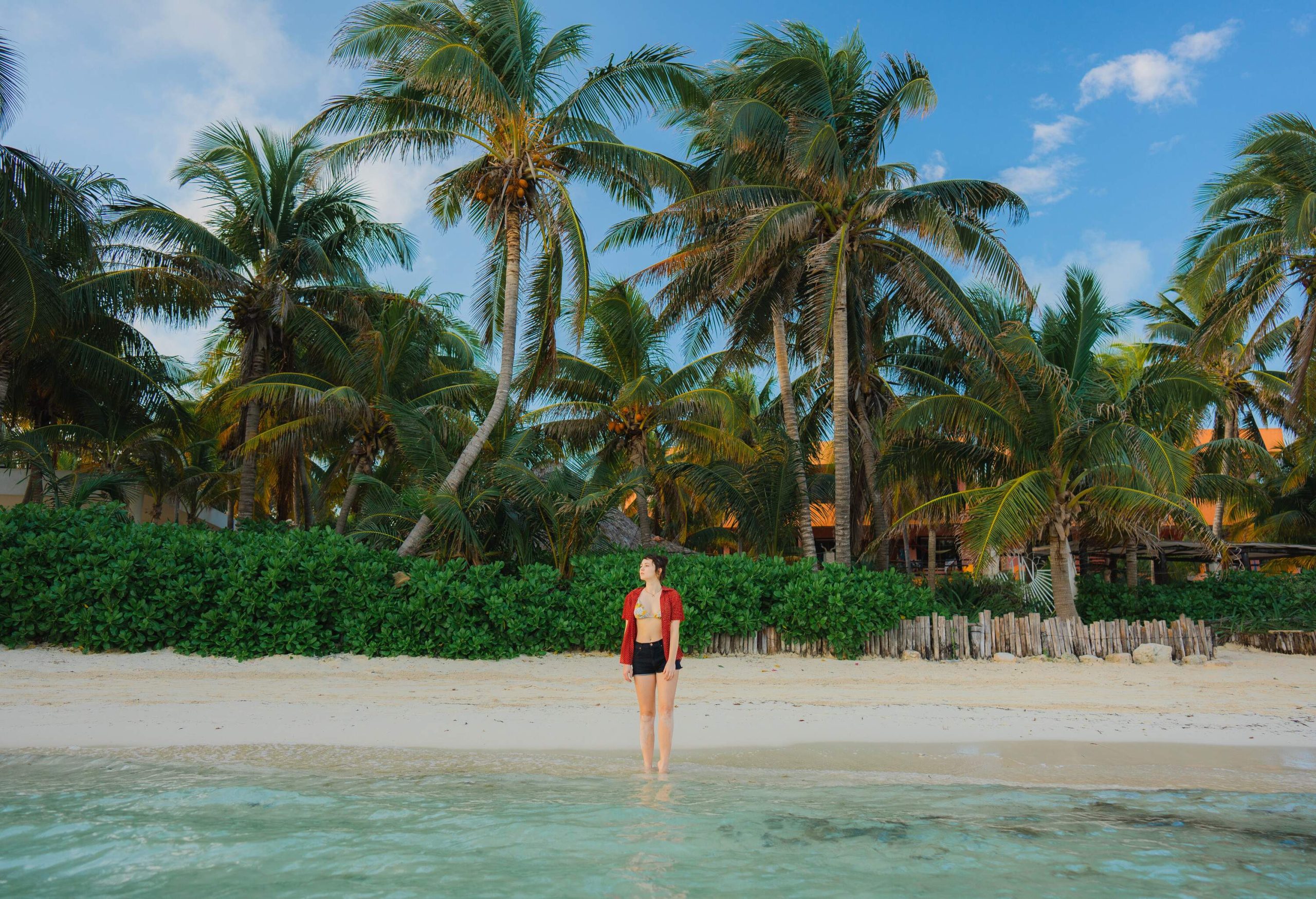 A woman stands on the shore lined with lush foliage and tall tropical trees surrounded by the turquoise sea.