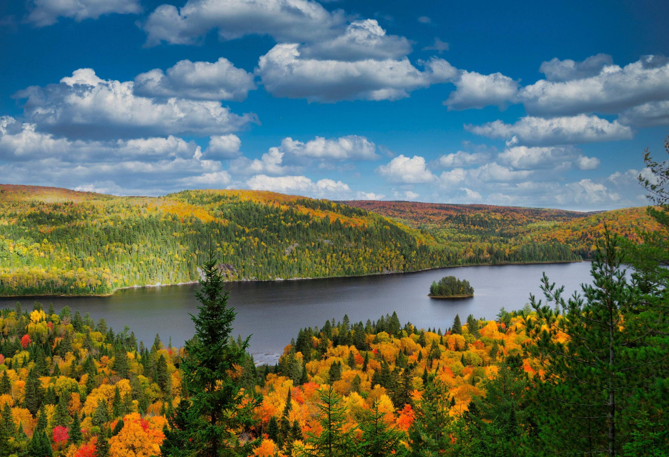 A calm lake across a landscape covered in vibrant fall foliage.