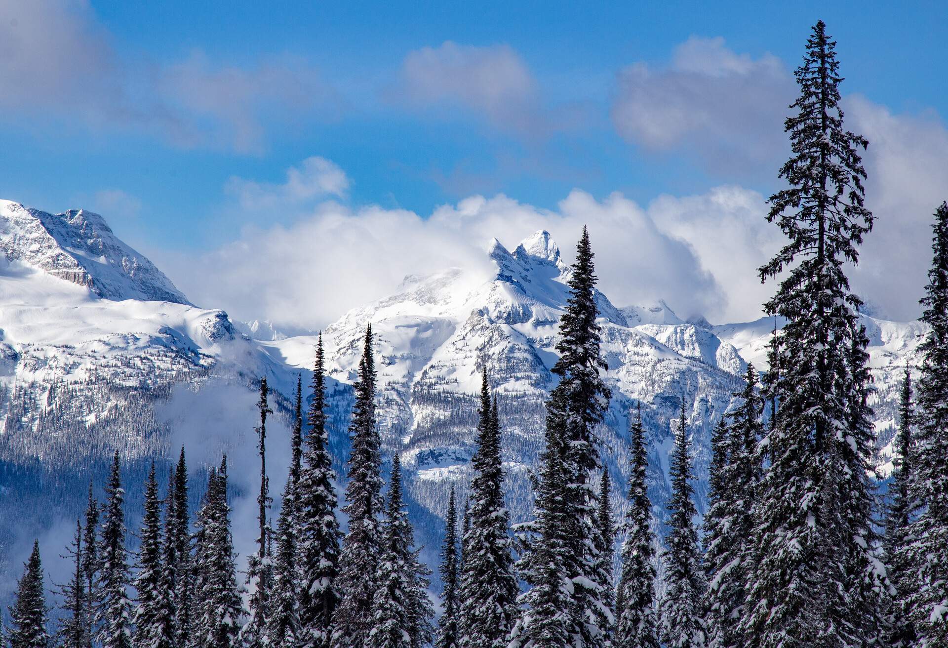 Alpine skiing in British Columbia