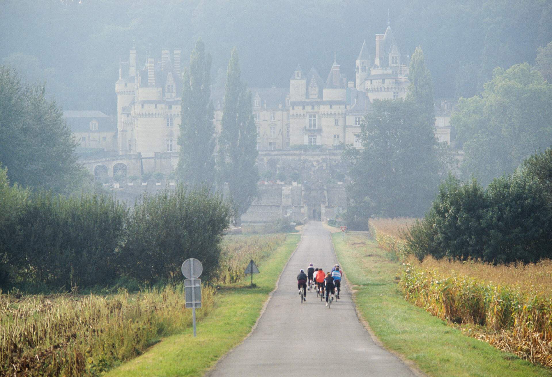 FRANCE_CASTLE_CHATEAU_D_USSE