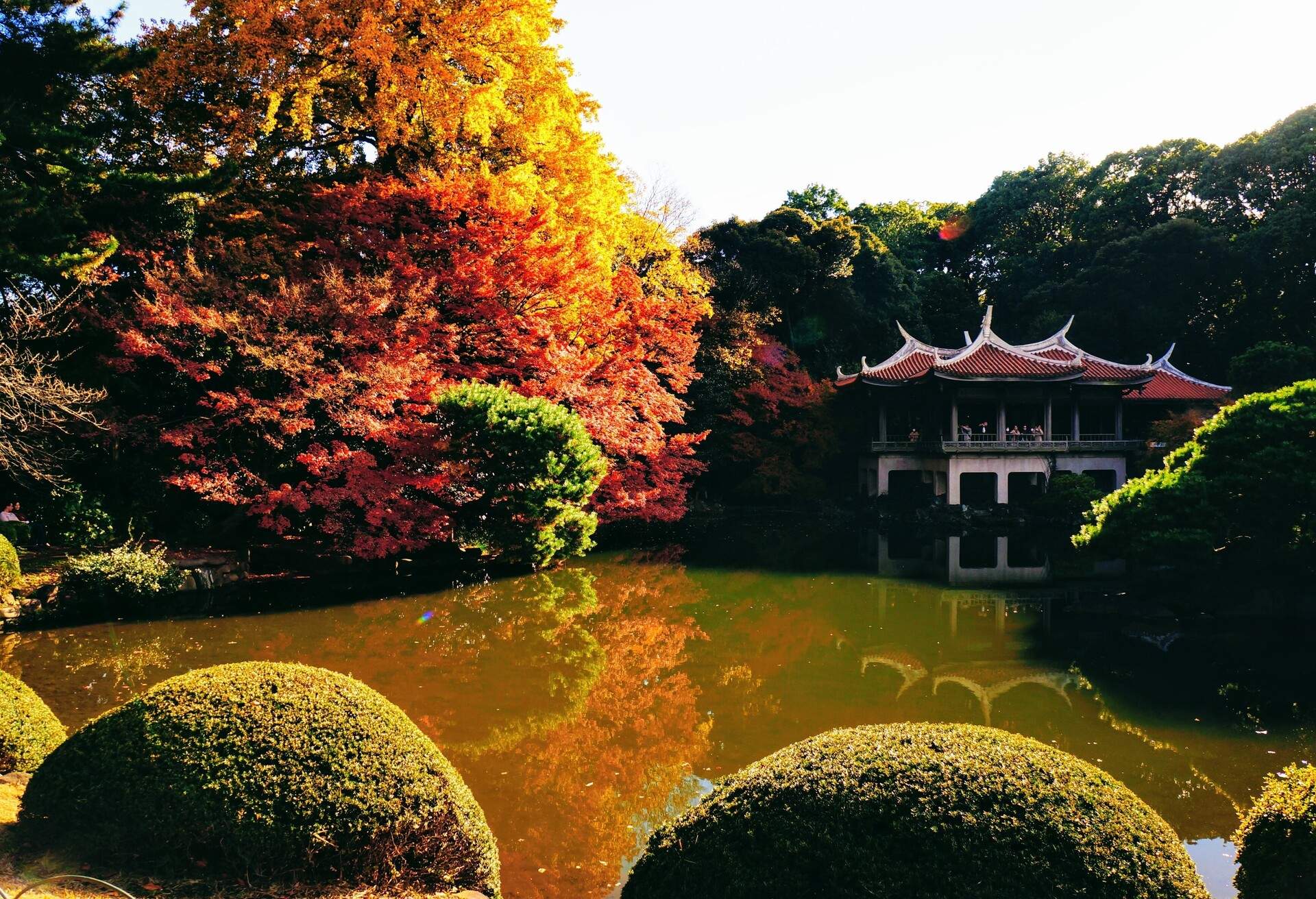 A pavilion on the edge of a garden pond surrounded by dense trees and well-pruned shrubs.