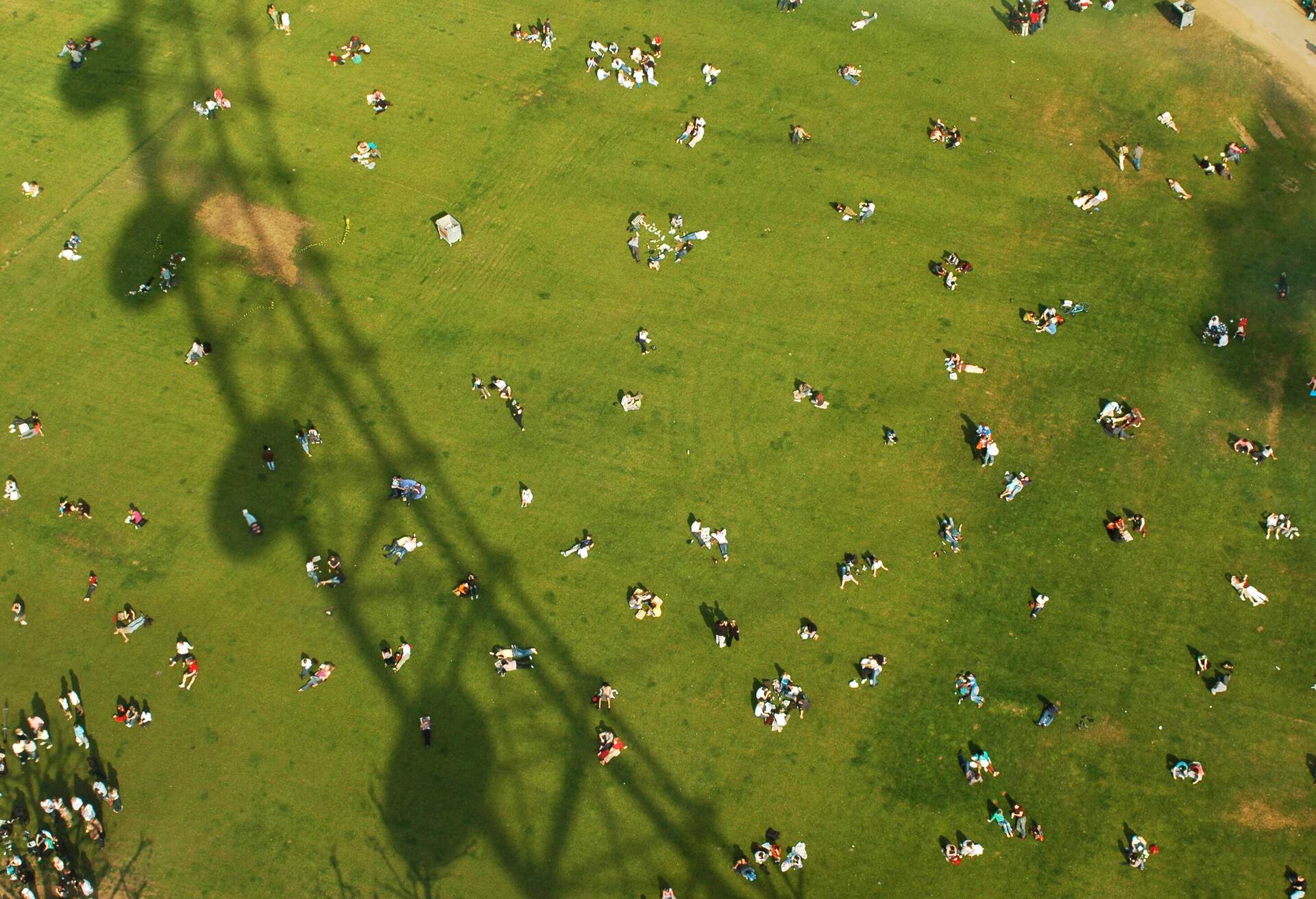 Jubilee Gardens and London eye shadow view from above.