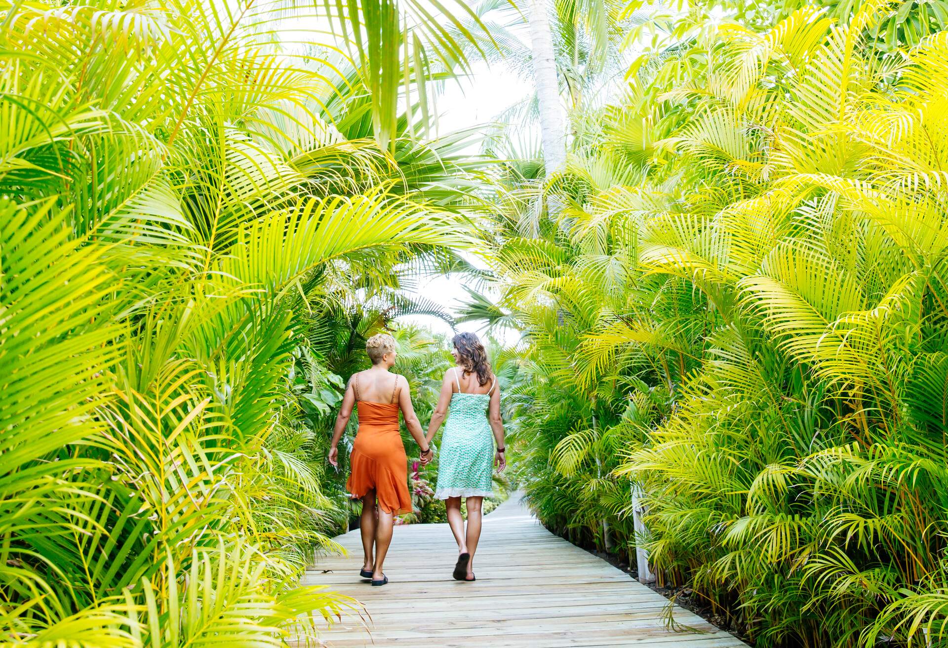 MEXICO_THEME_PEOPLE_COUPLE_WOMEN_GAY_PALMTREES