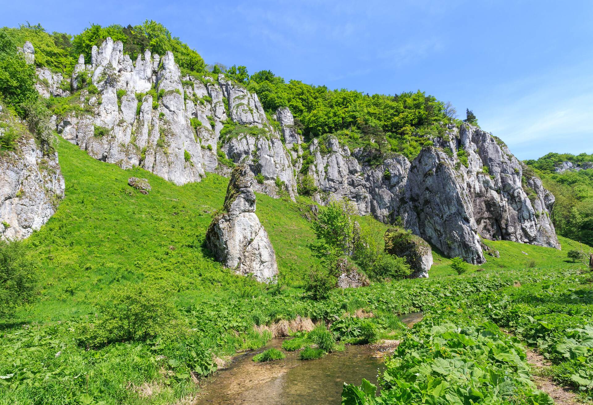 DEST_POLAND_WIELKA-WIES_Ojcow-National-Park_shutterstock-portfolio_477570598