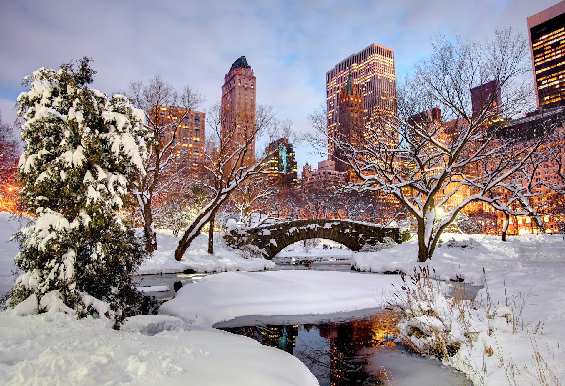 USA_NEW-YORK_-NEW-YORK-CITY_CENTRAL-PARK