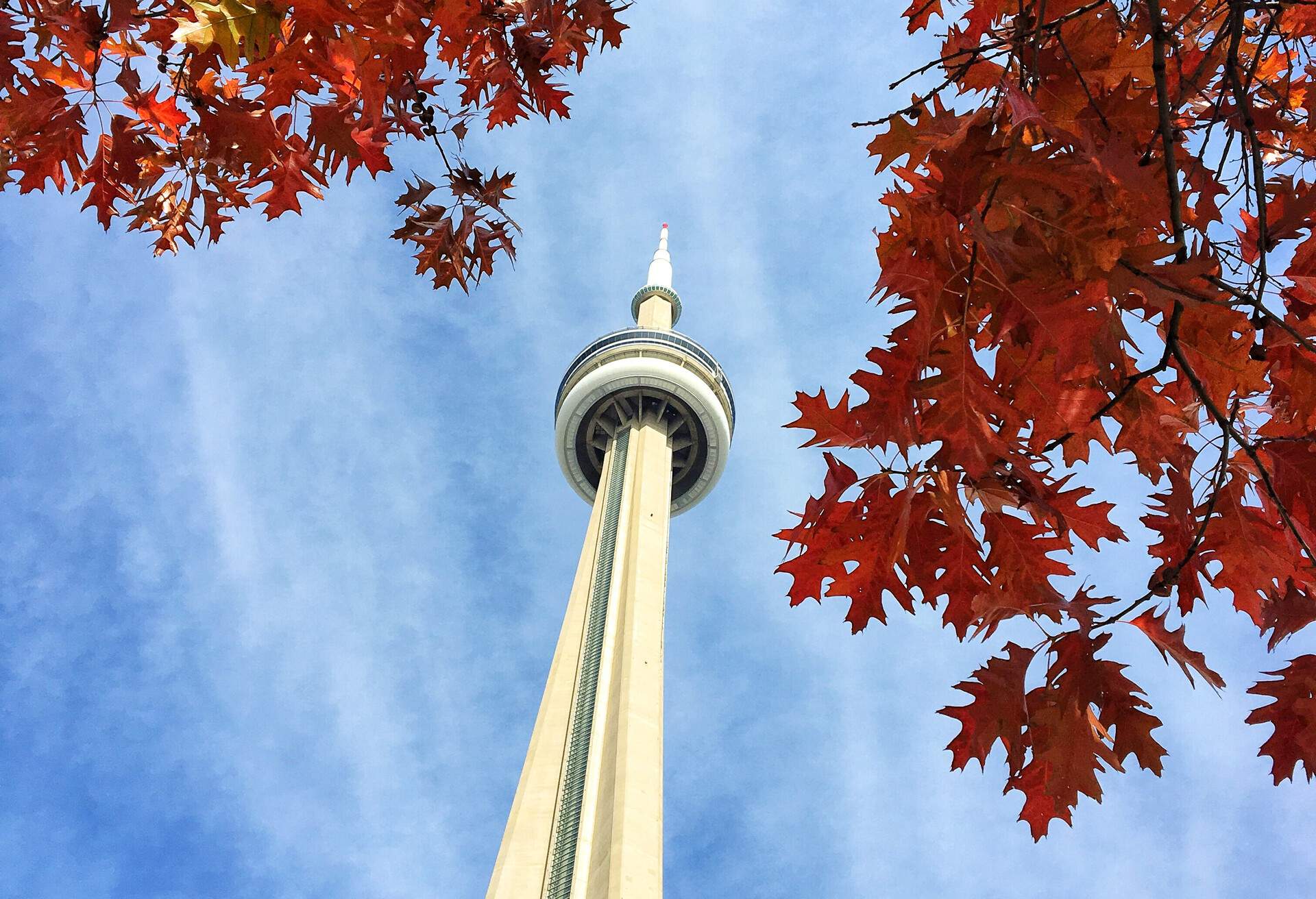 Red maple leaves and tall white concrete communication and surveillance towers are seen from below.