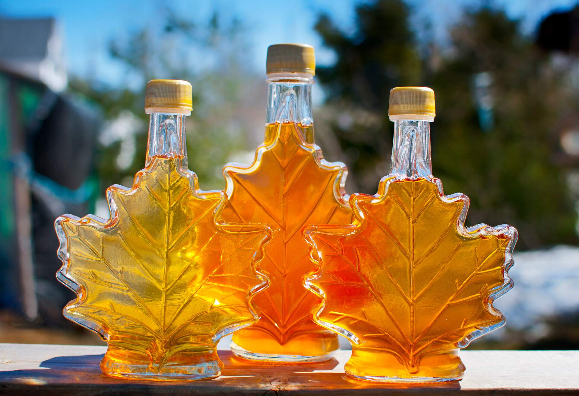 Three bottles of maple syrup made by a backyard hobbyist in Nova Scotia.