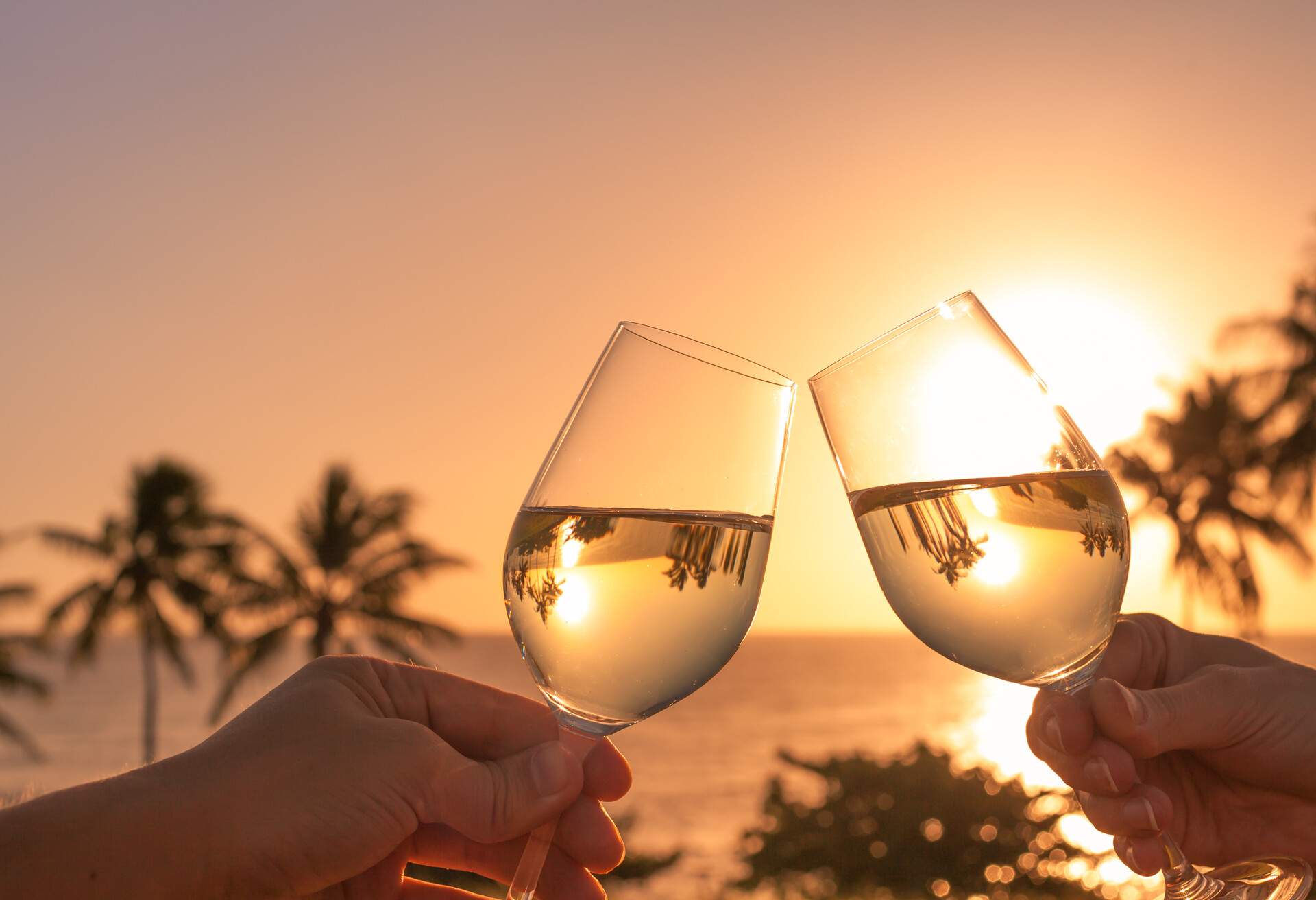 Cheers with wine glasses in a beautiful sunset beach setting.