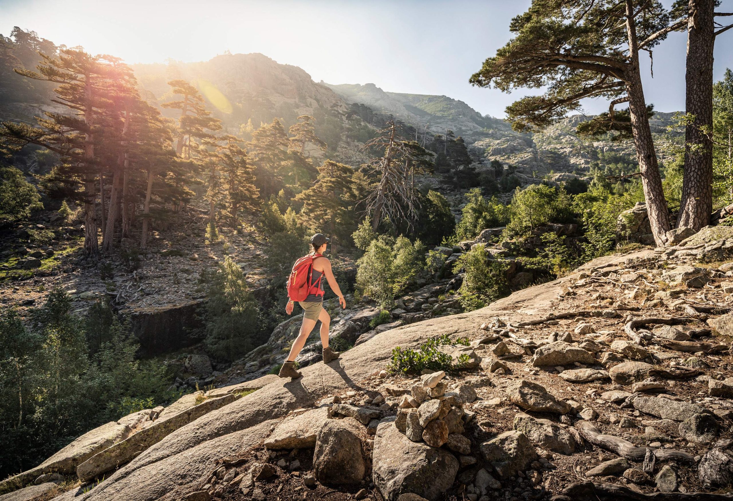 A hiker walks through a woodland on a rocky trail.