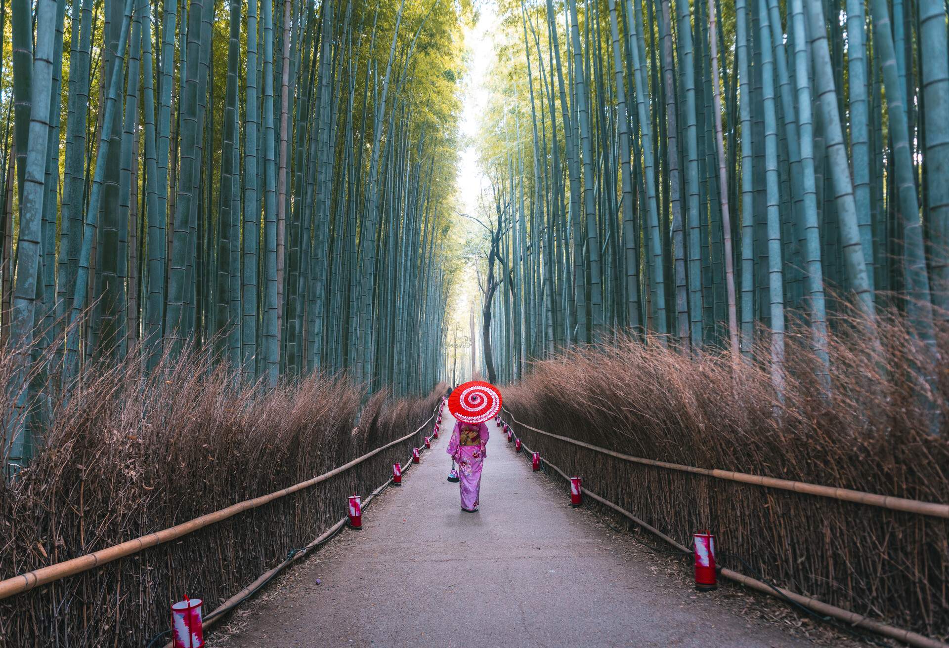 japan_kyoto_arashiyama