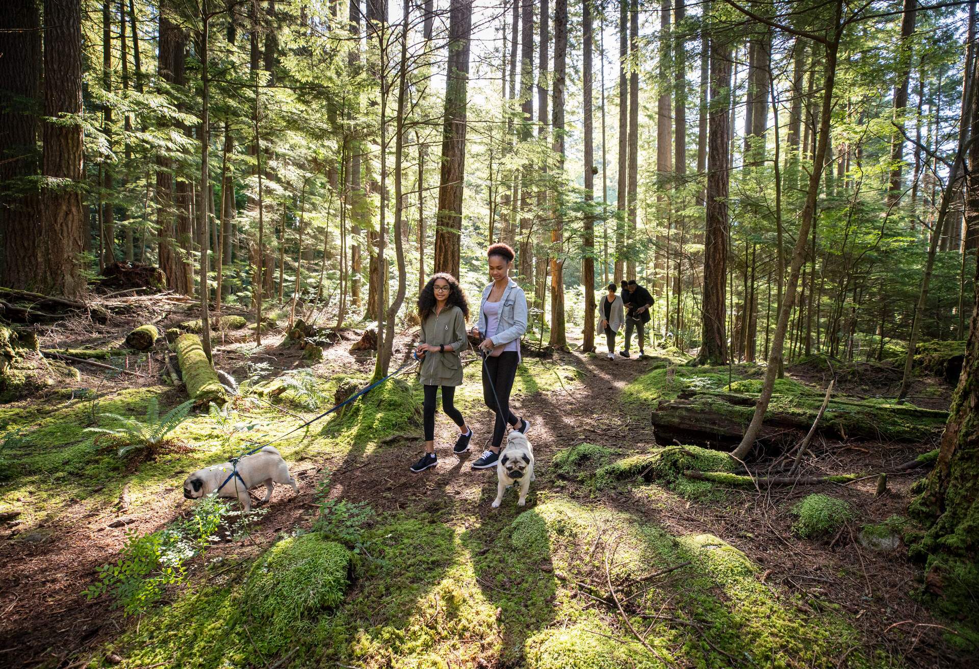 DEST_CANADA_NORTH-VANCOUVER_THEME_DOGS_HIKING_FAMILY_GettyImages-1260485554