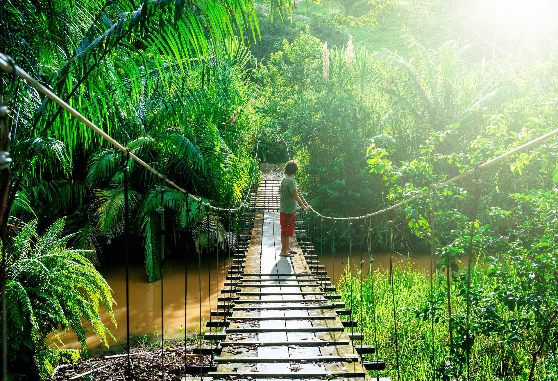 Man crossing a suspension bridge in Costa Rica, near Corcovado